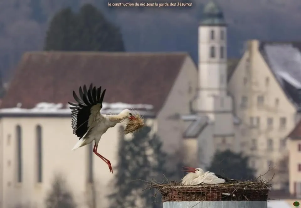 Domaine de Mont-Renaud
