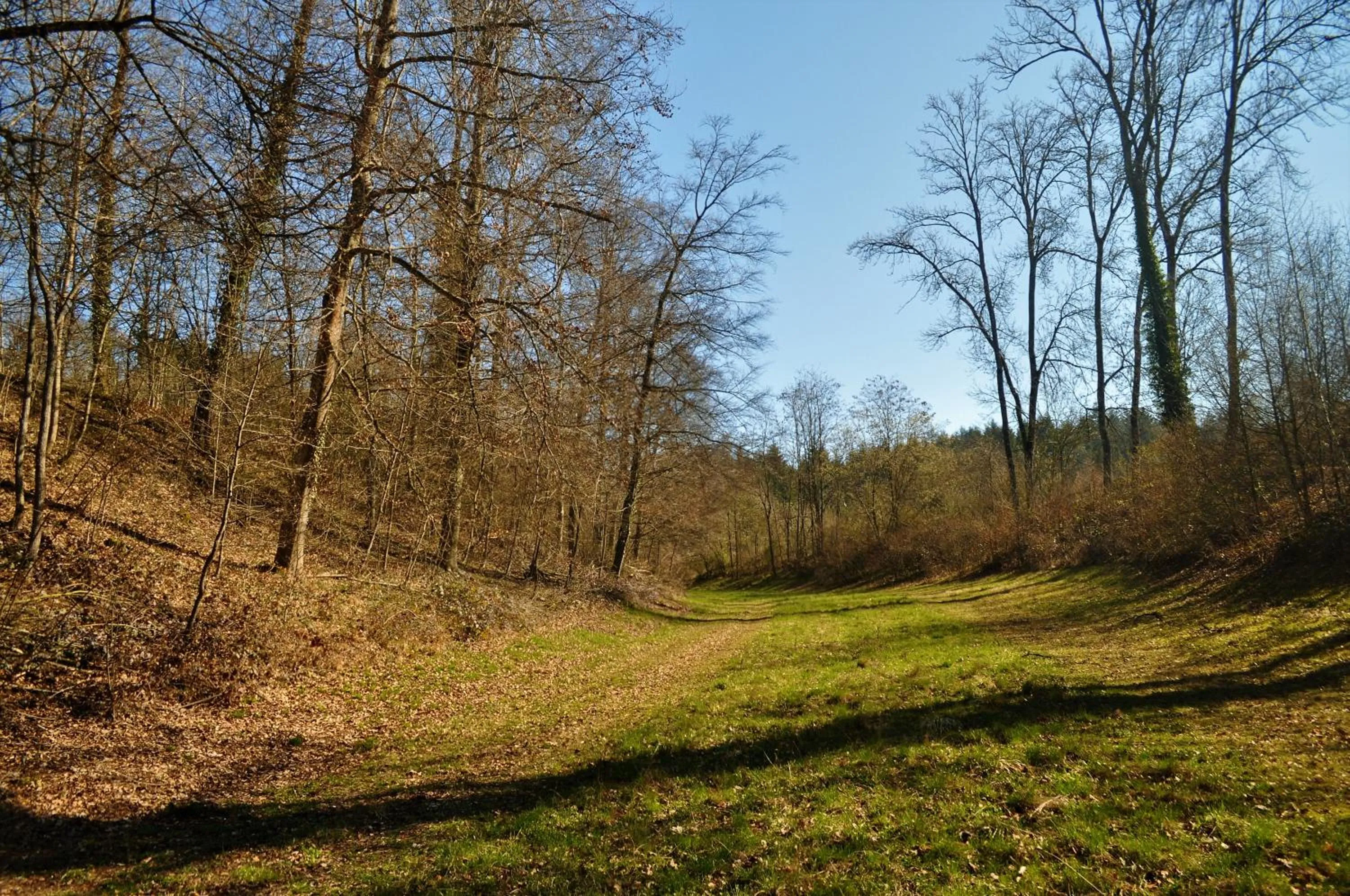 Natural landscape in Domaine de Mont-Renaud