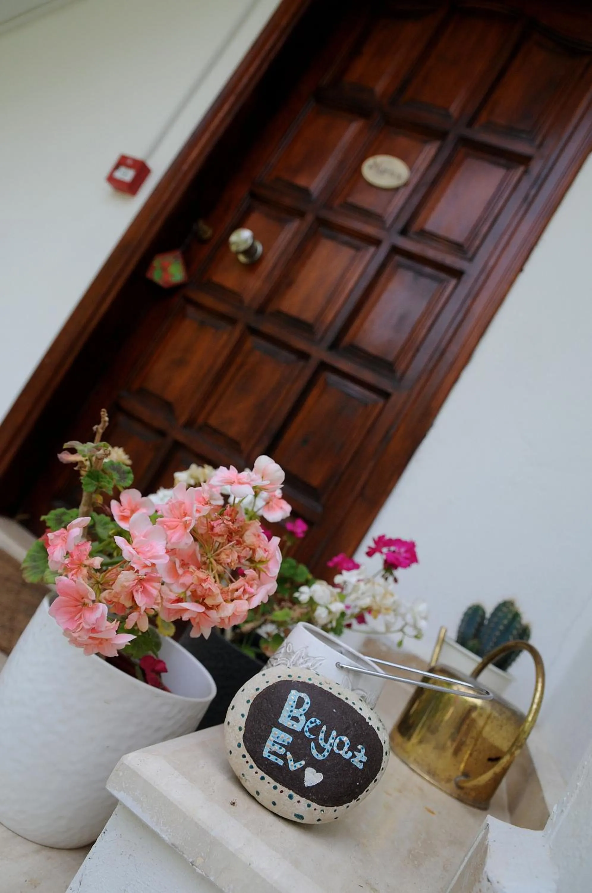 Other in Beyaz Ev Agva - Adult only +15