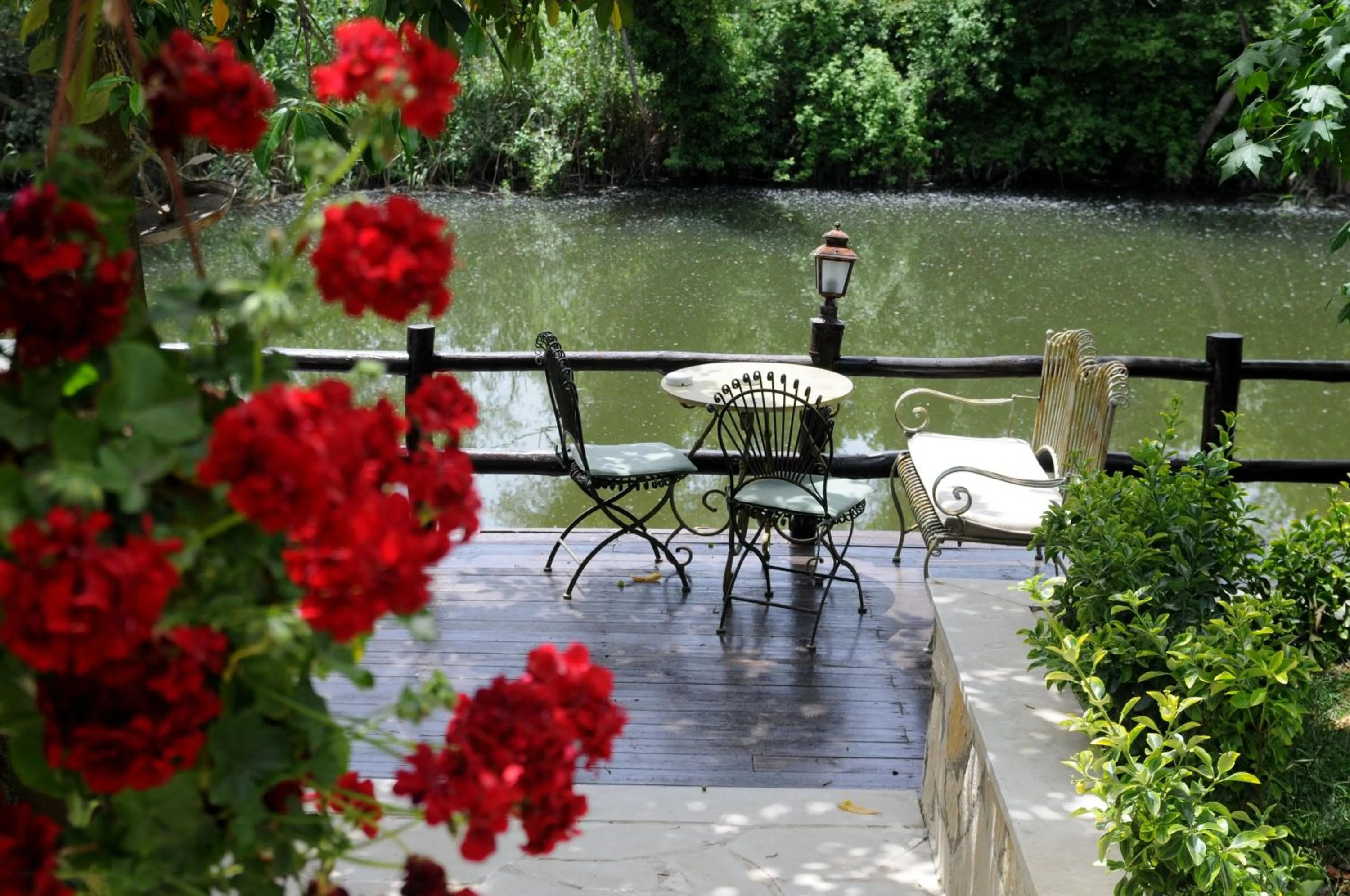 Garden in Beyaz Ev Agva - Adult only +15