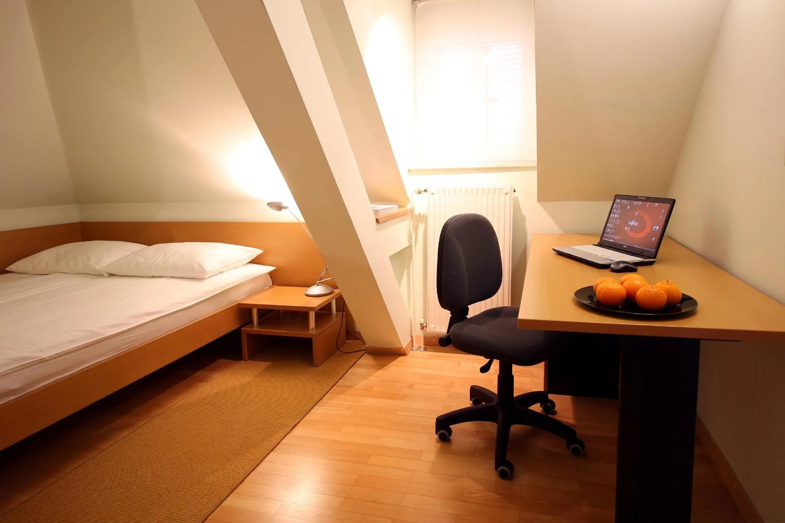 Double Room with Kitchenette - single occupancy in Apartments Villa Boltez