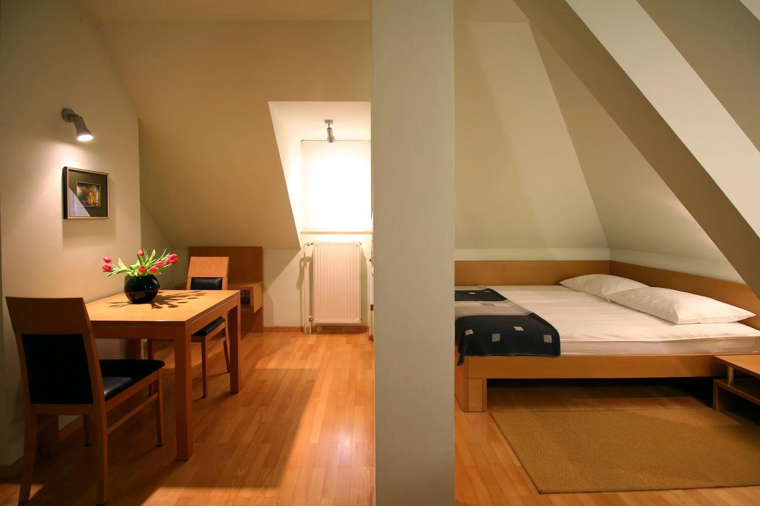 Double Room with Kitchenette - single occupancy in Apartments Villa Boltez