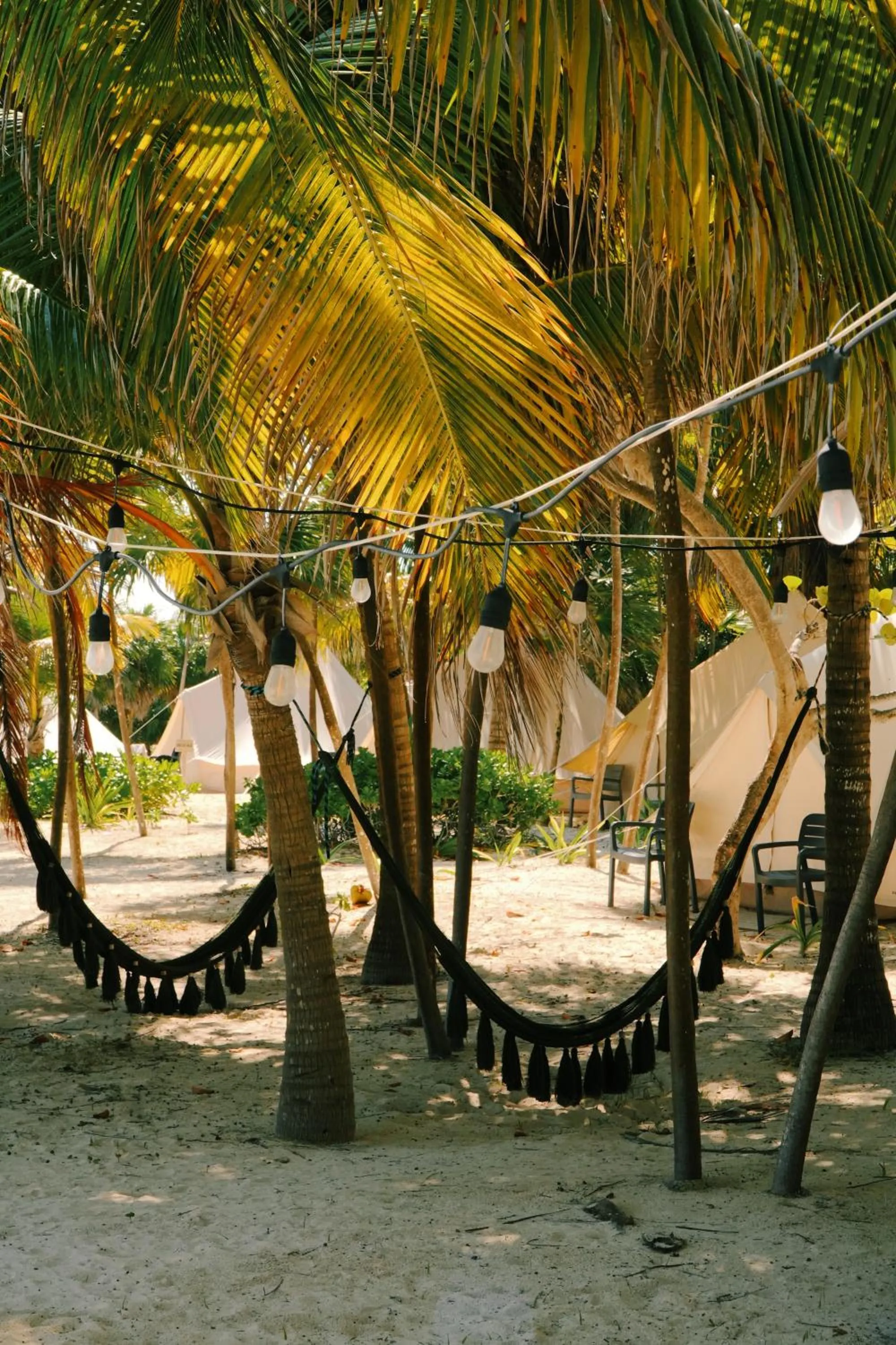 Beach in Hotel Cielo y Selva