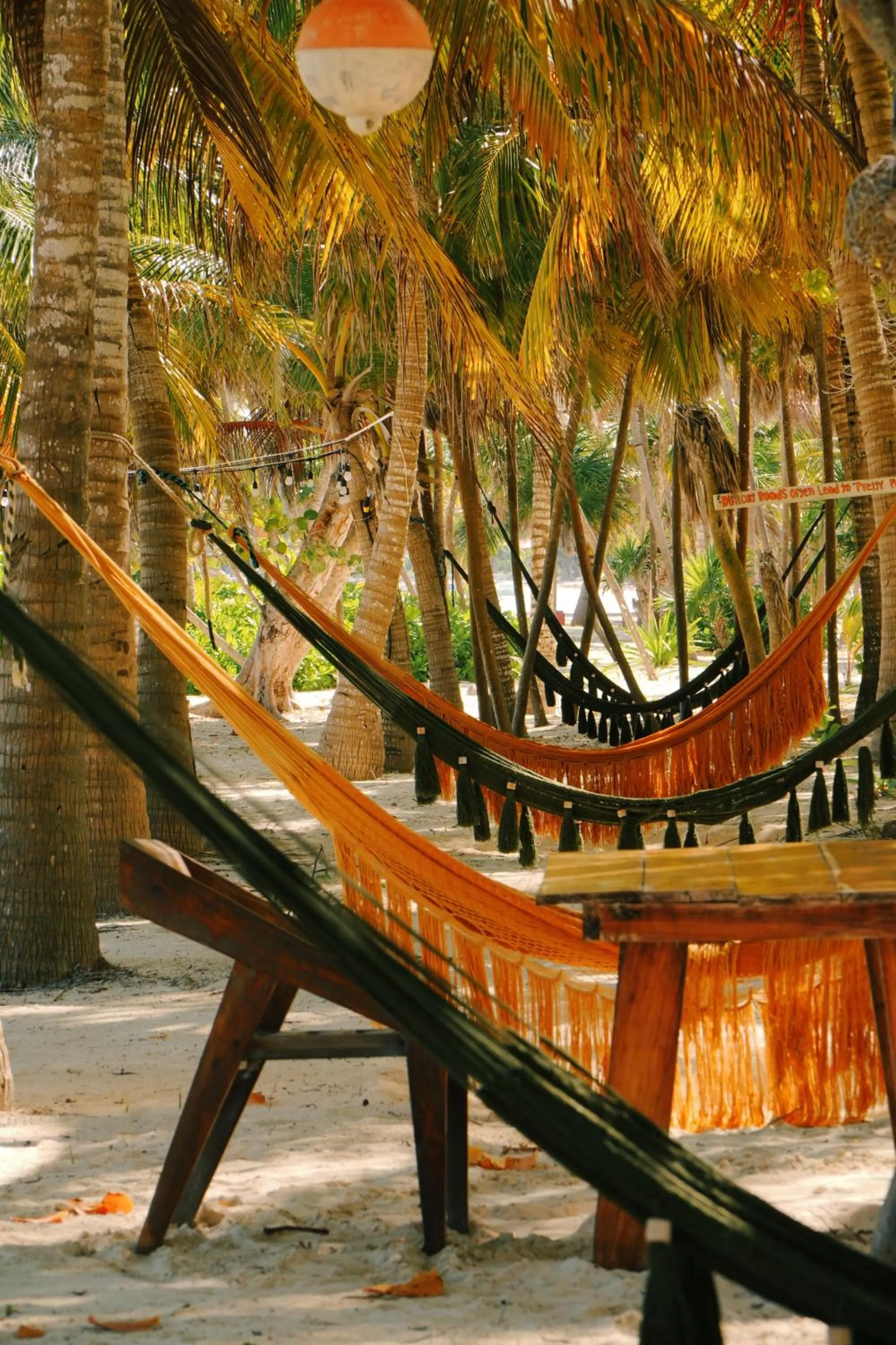 Beach in Hotel Cielo y Selva