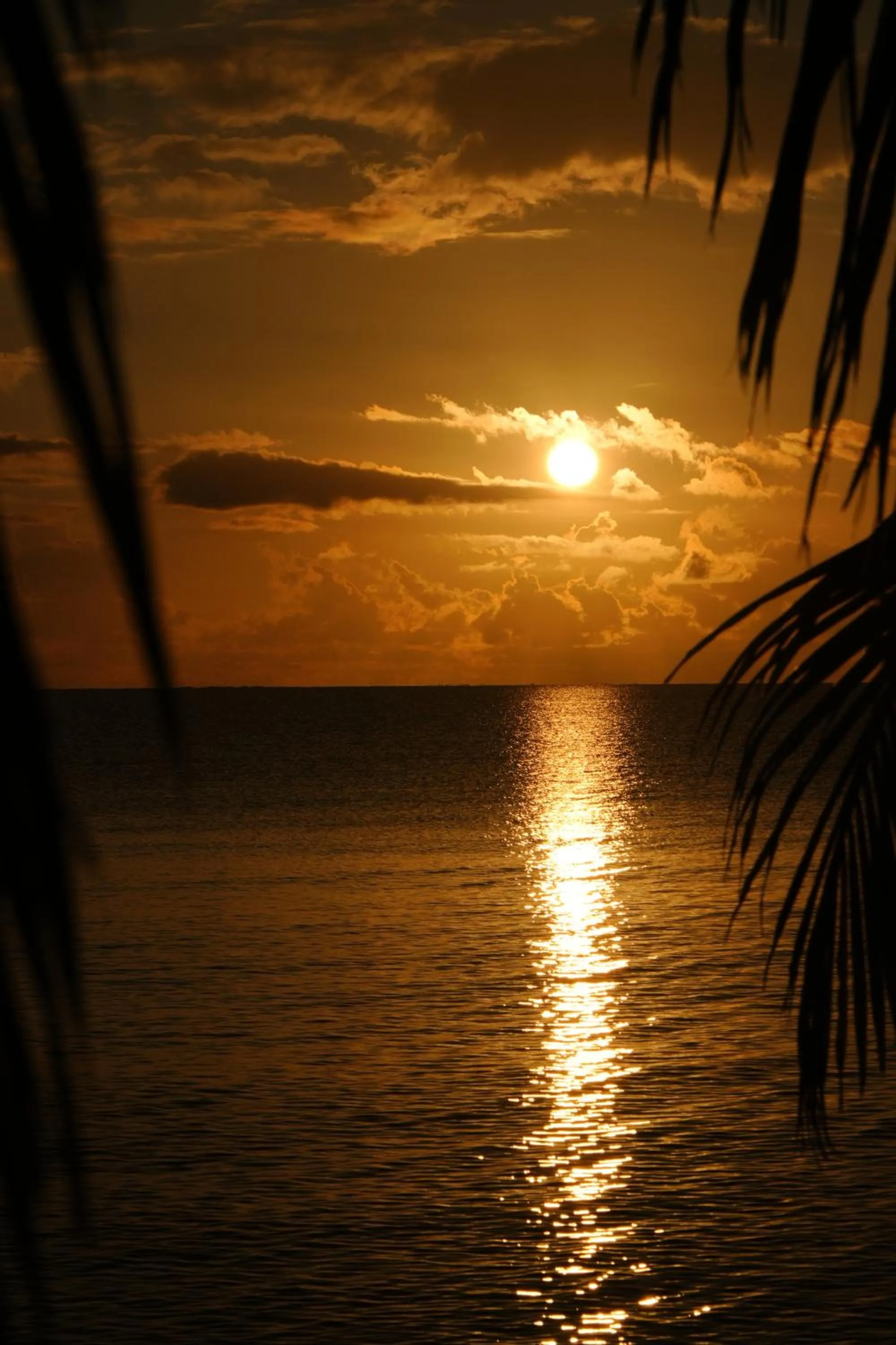 Sunrise in Hotel Cielo y Selva