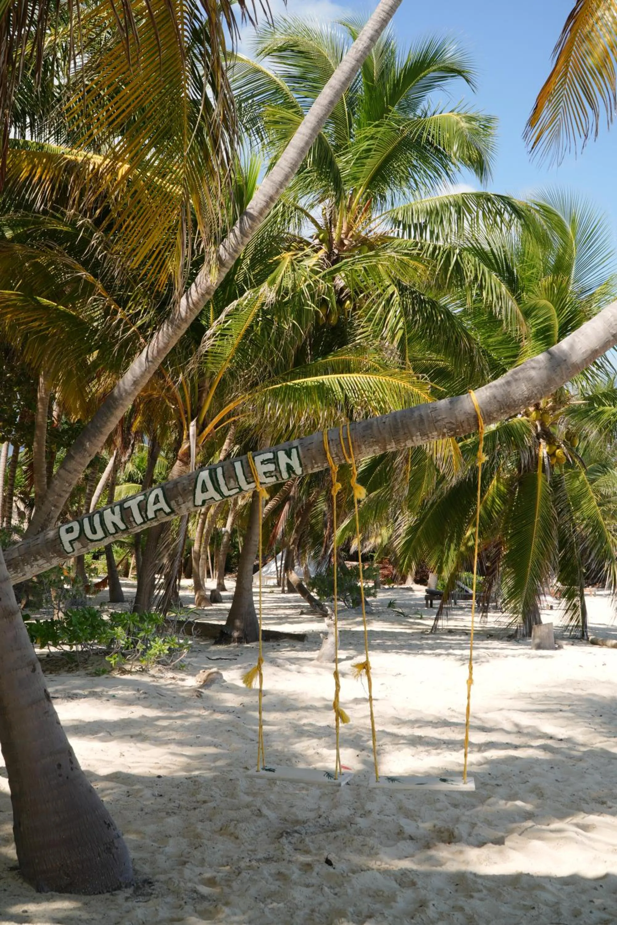 Beach in Hotel Cielo y Selva