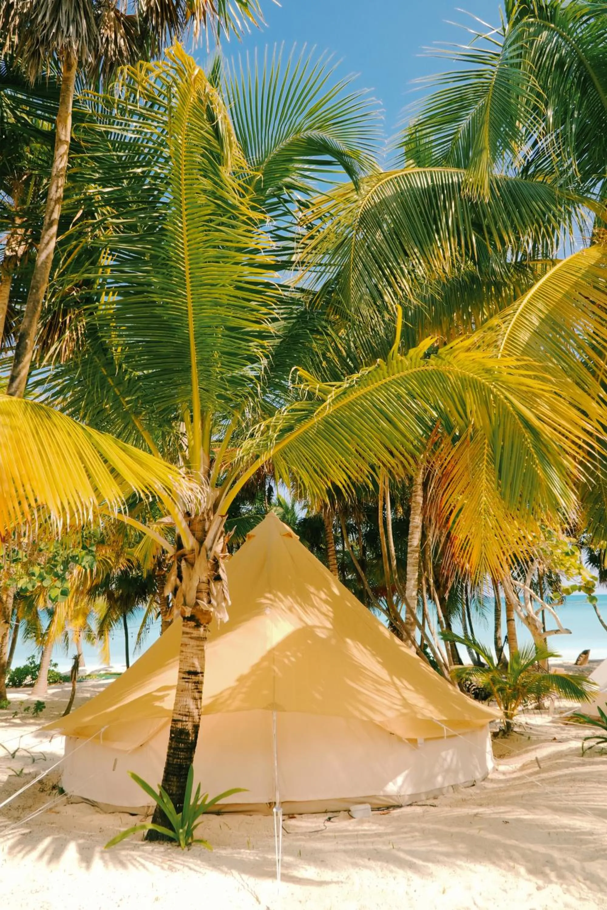 Natural landscape in Hotel Cielo y Selva