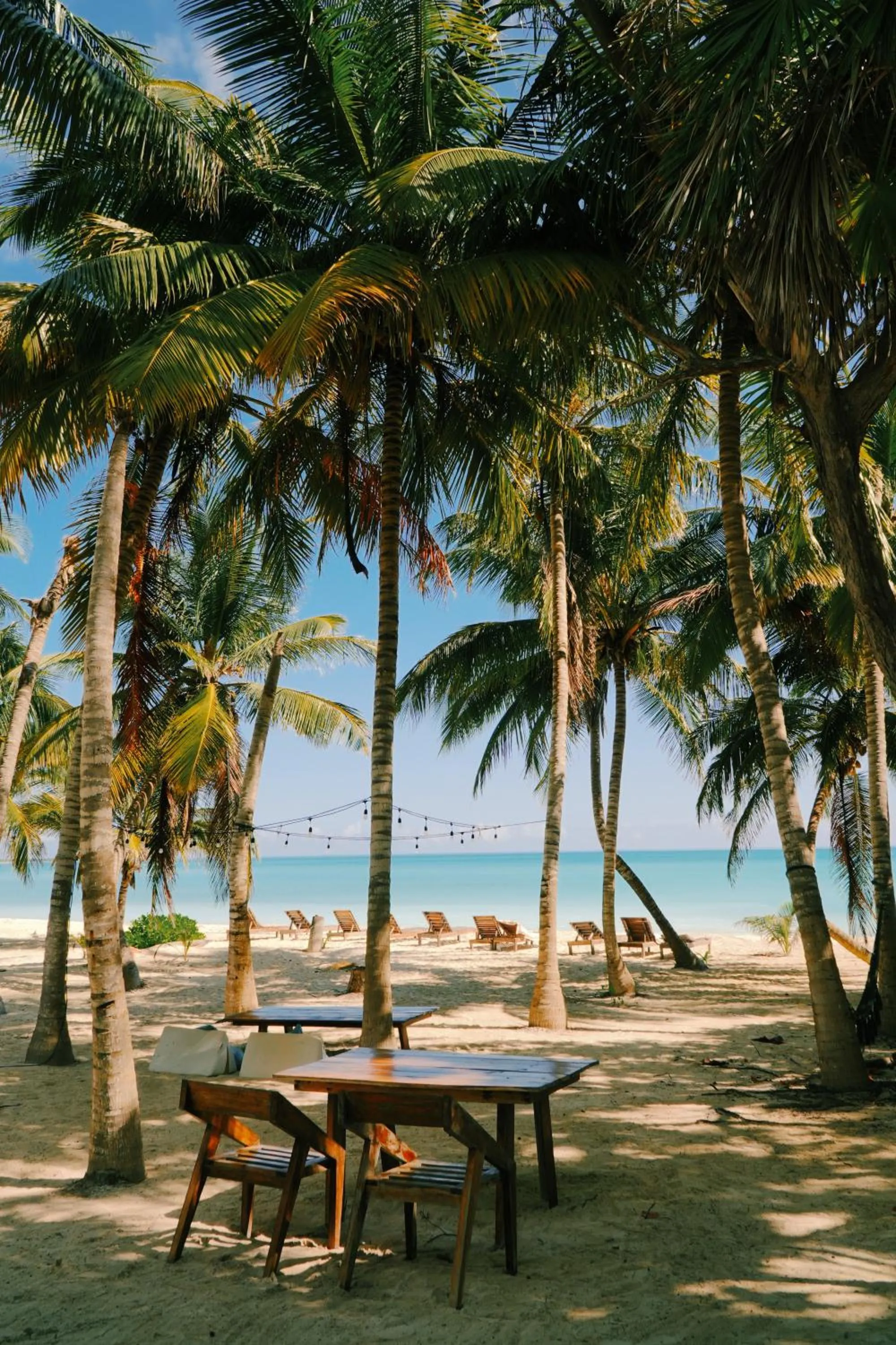 Beach in Hotel Cielo y Selva