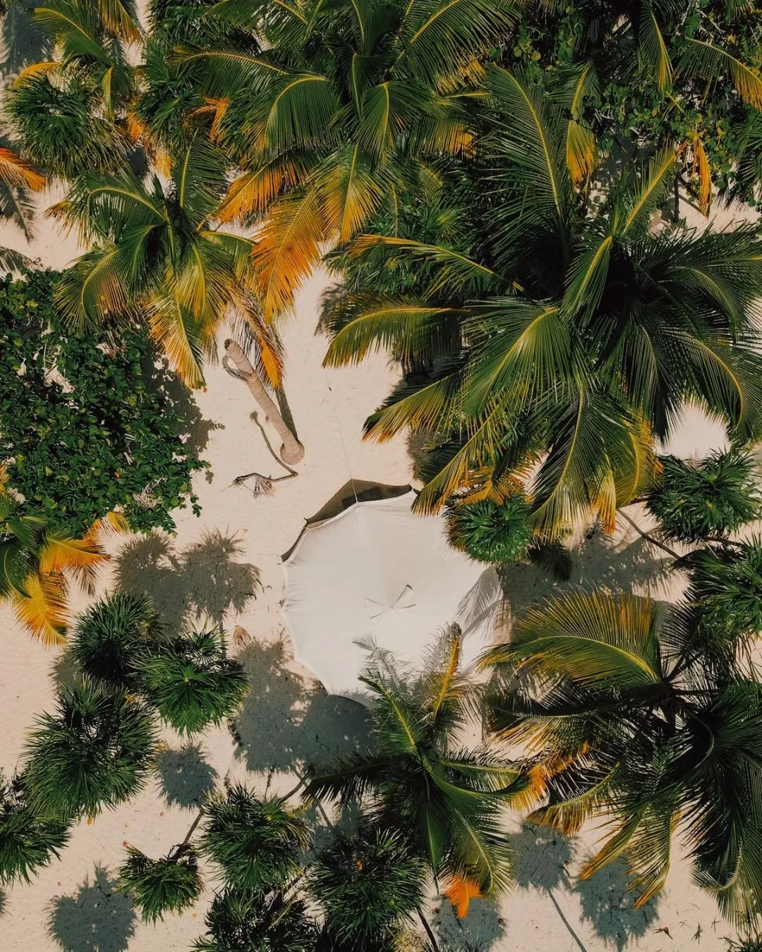 Natural landscape in Hotel Cielo y Selva