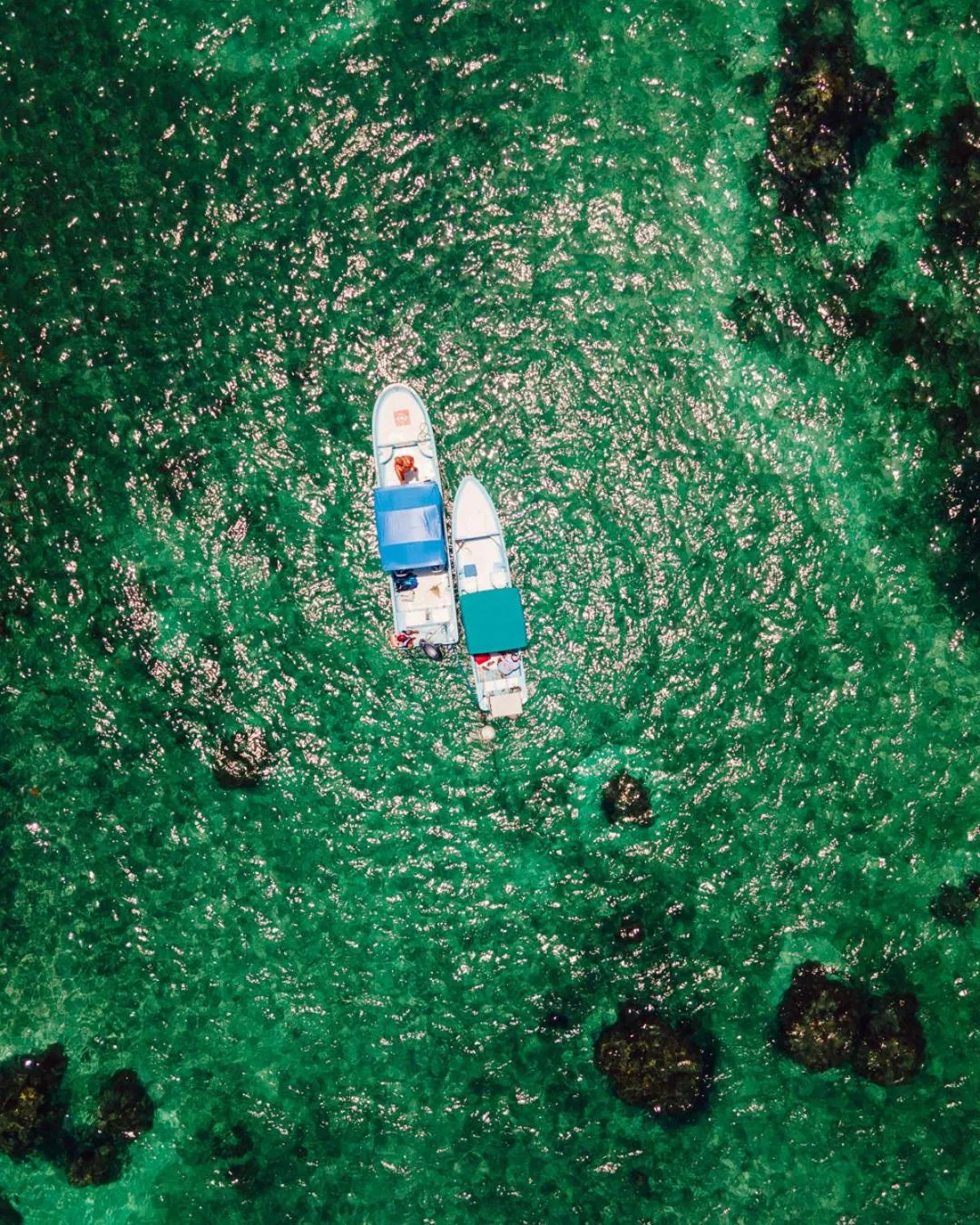 Beach in Hotel Cielo y Selva