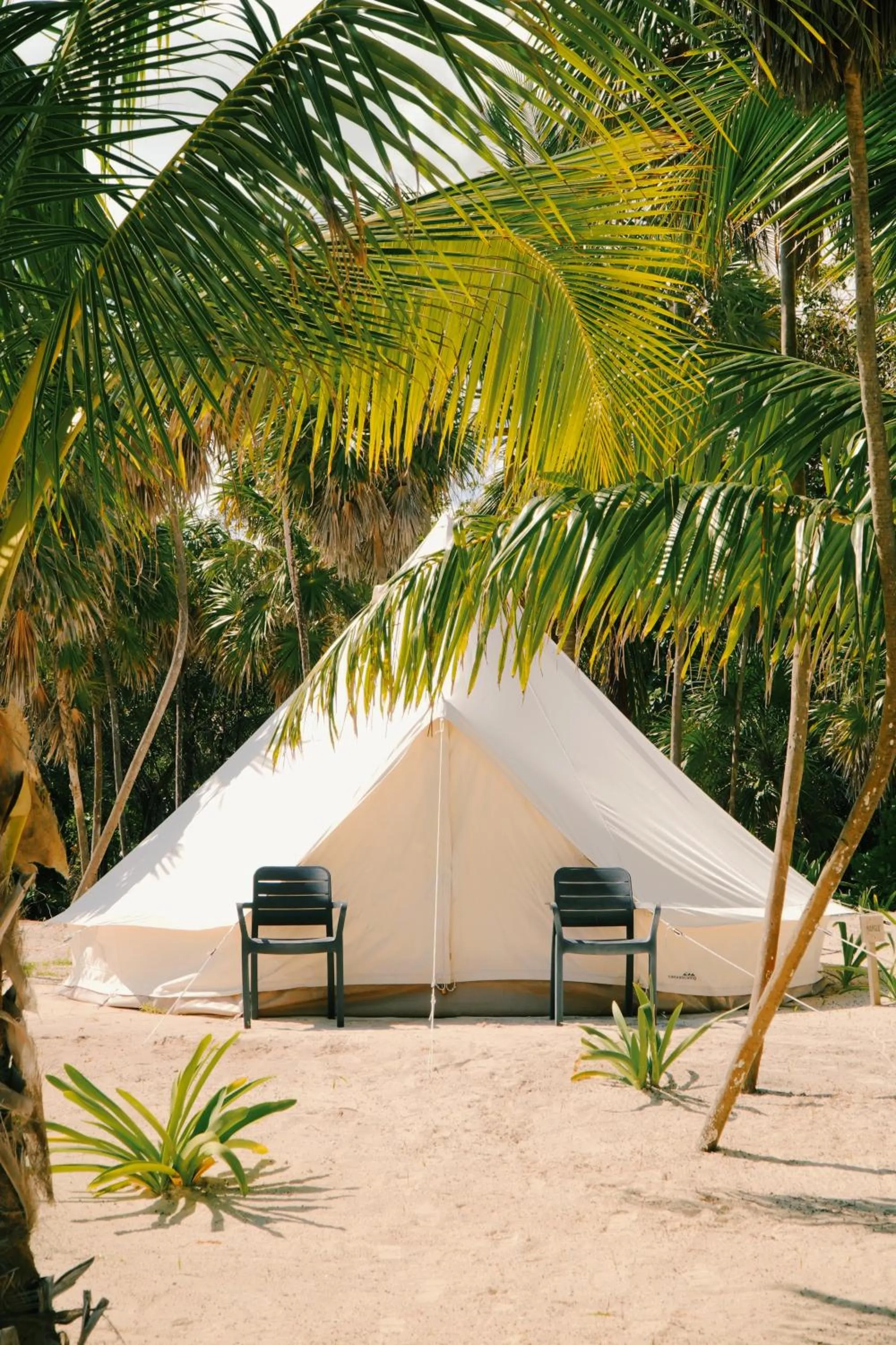 Garden view in Hotel Cielo y Selva