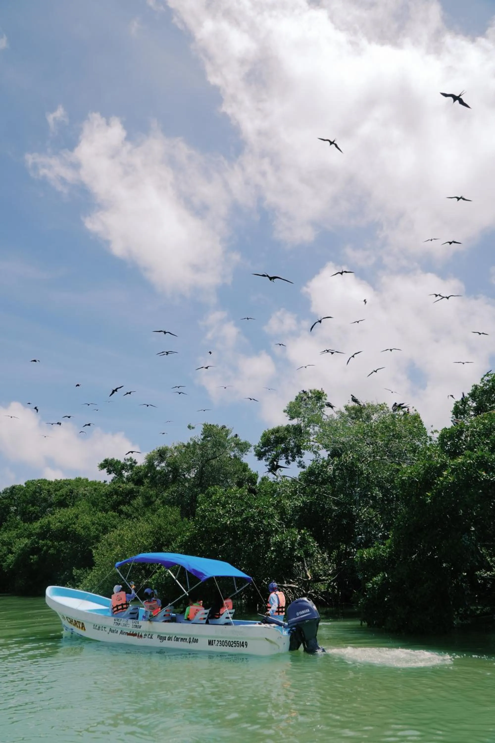 Natural landscape in Hotel Cielo y Selva