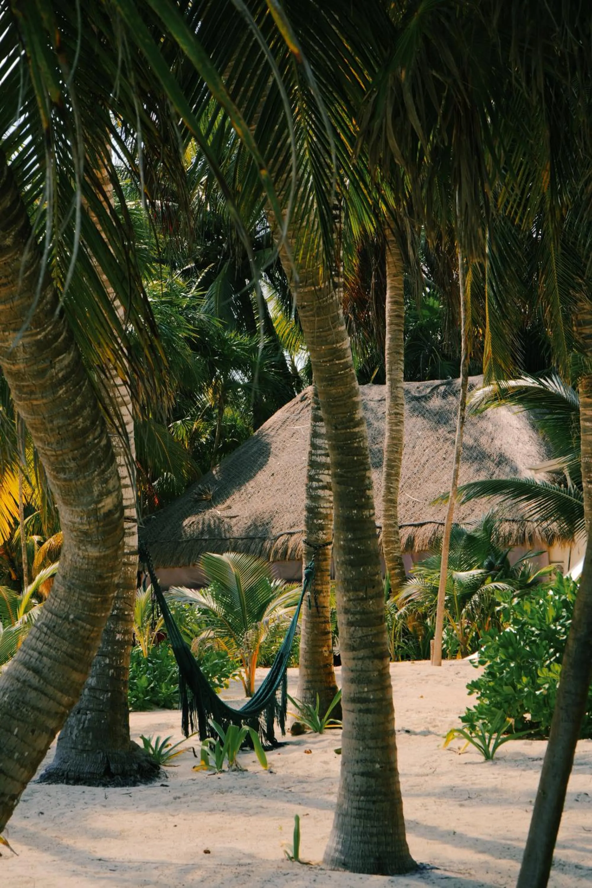 Property building in Hotel Cielo y Selva