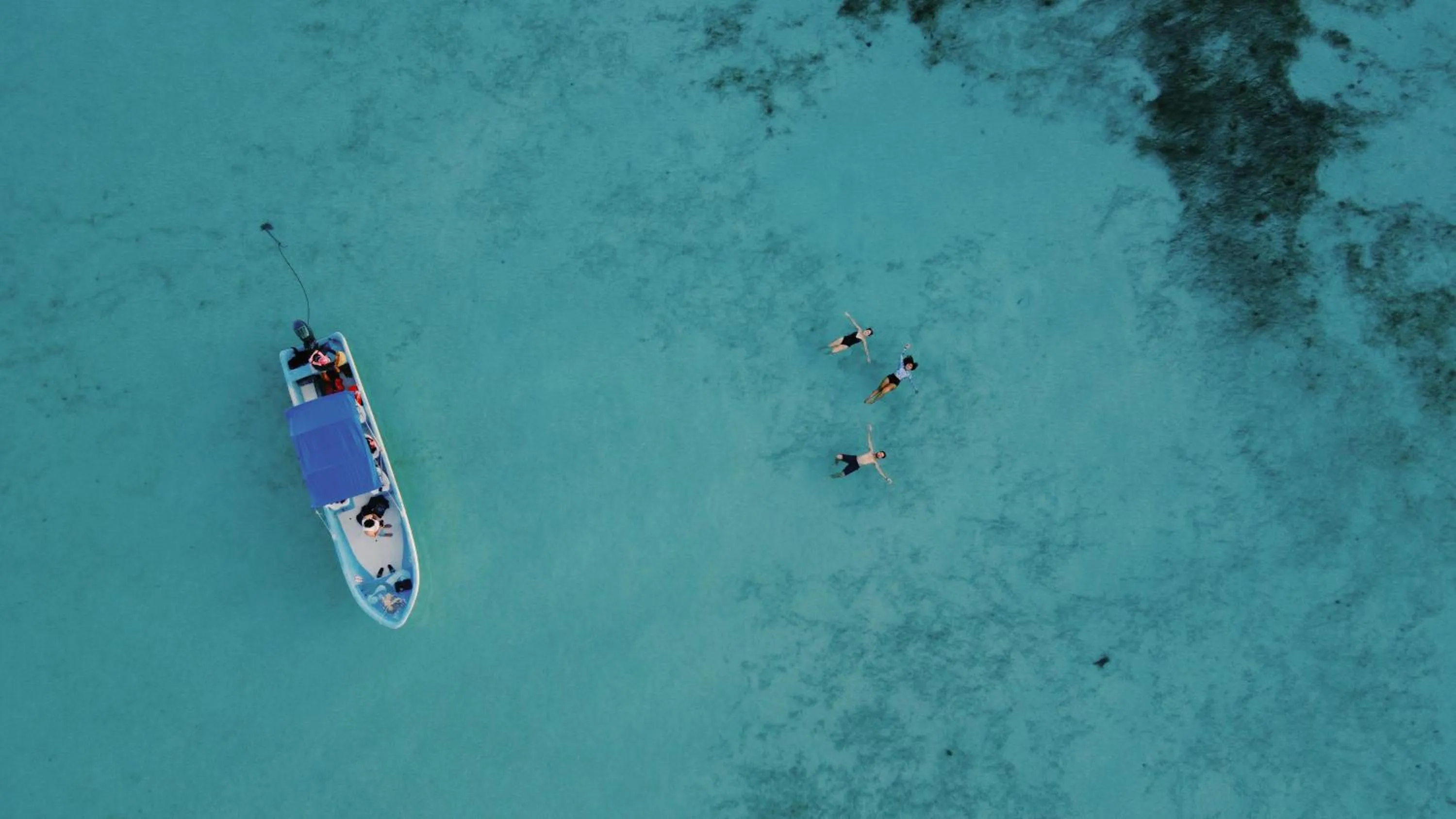 Activities in Hotel Cielo y Selva