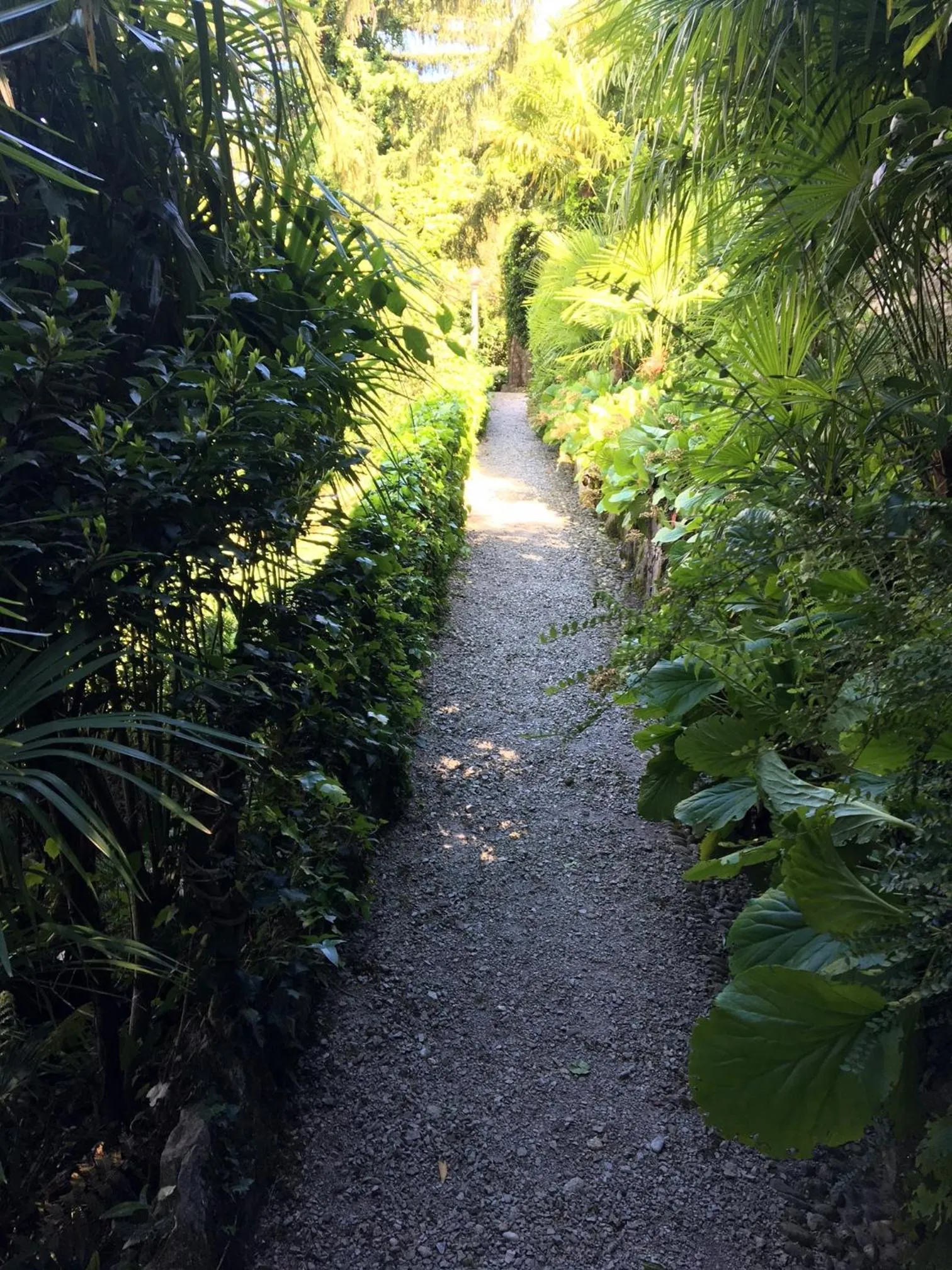 Garden in B&B Villa Costanza