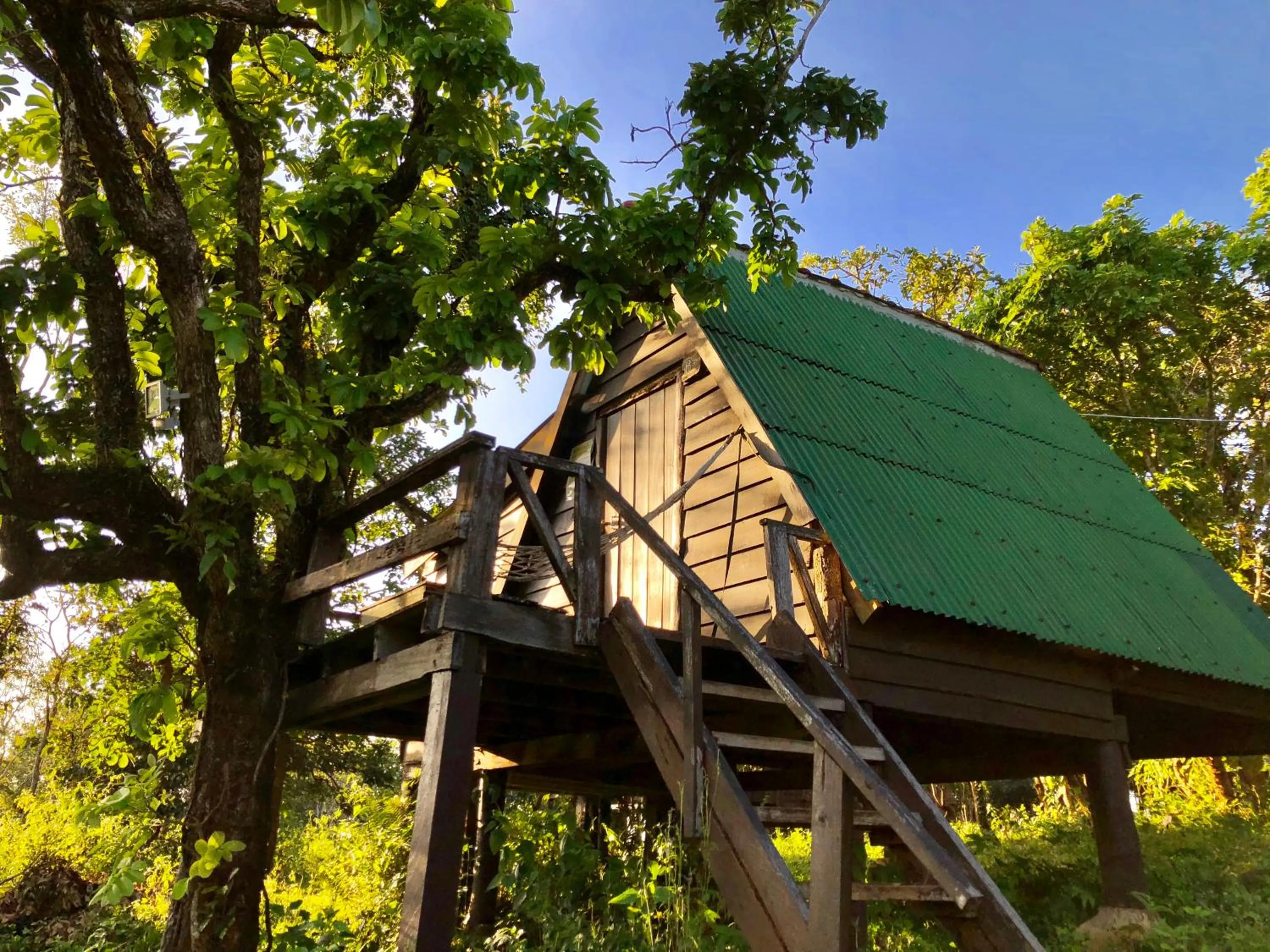 fireplace in Nature Lodge