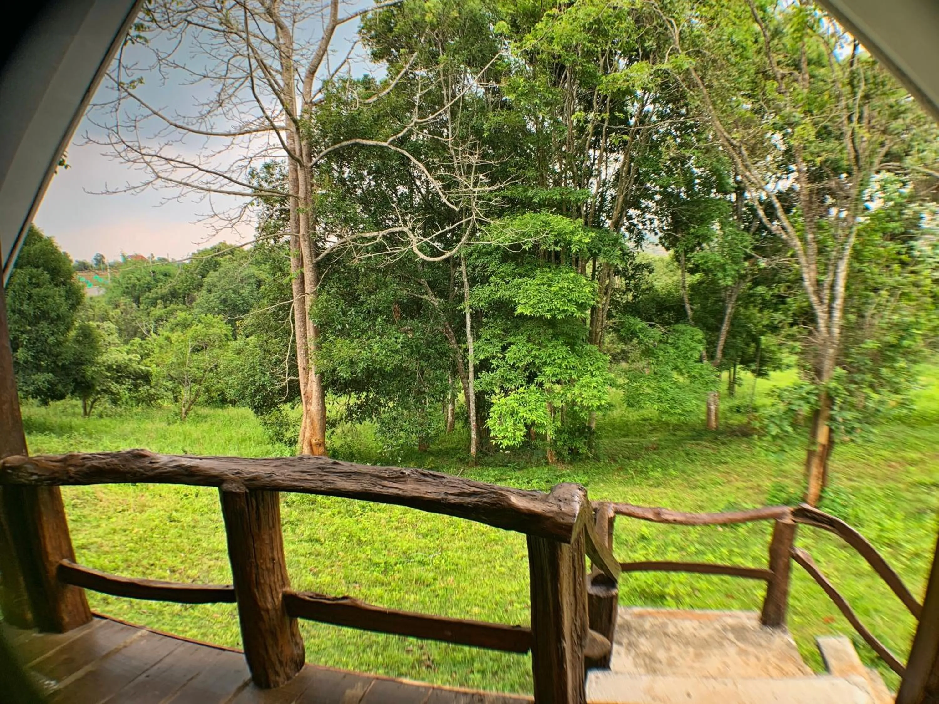 Balcony/Terrace in Nature Lodge