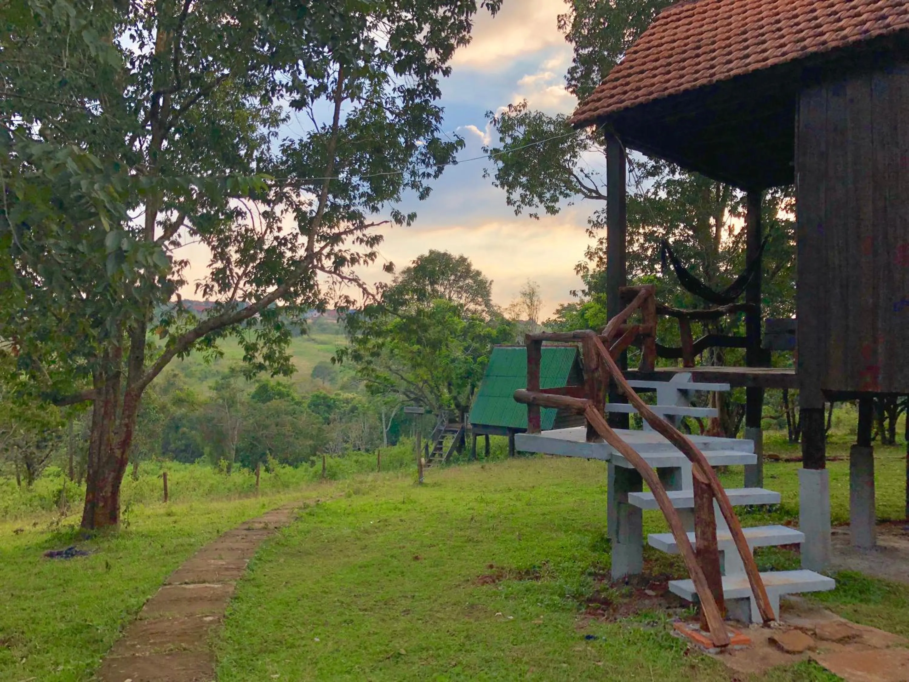 View (from property/room) in Nature Lodge
