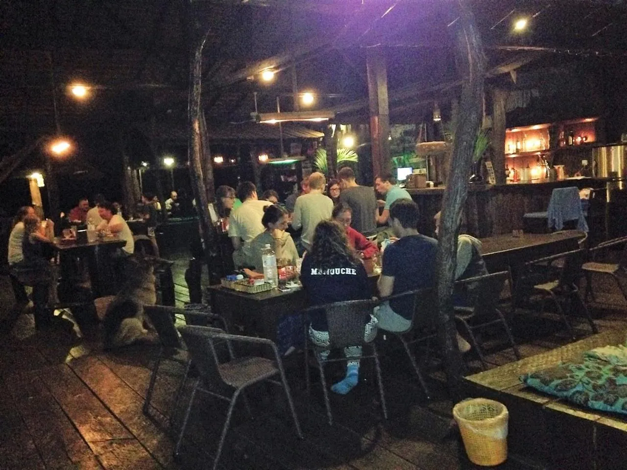 Guests in Nature Lodge