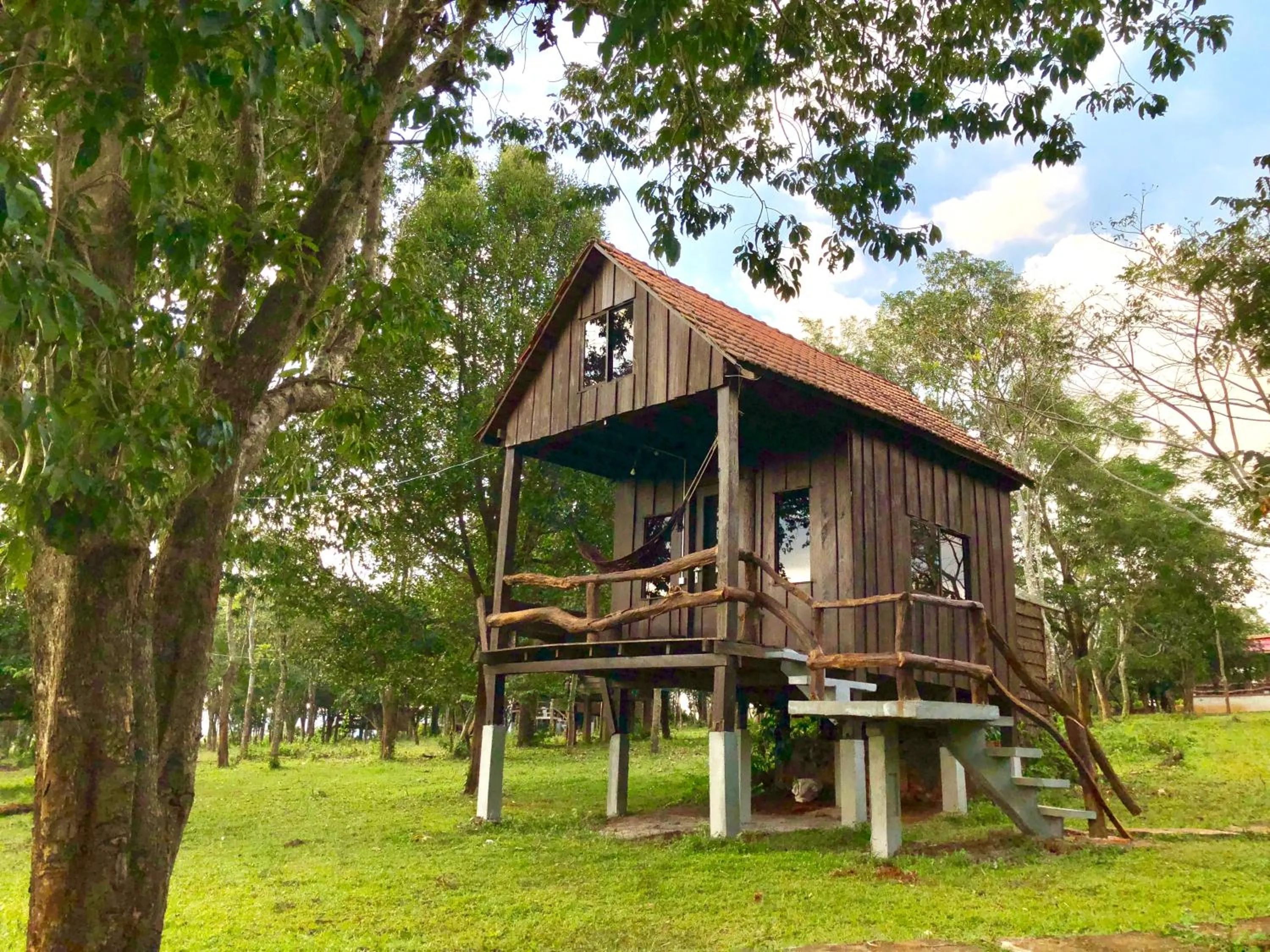 Photo of the whole room in Nature Lodge