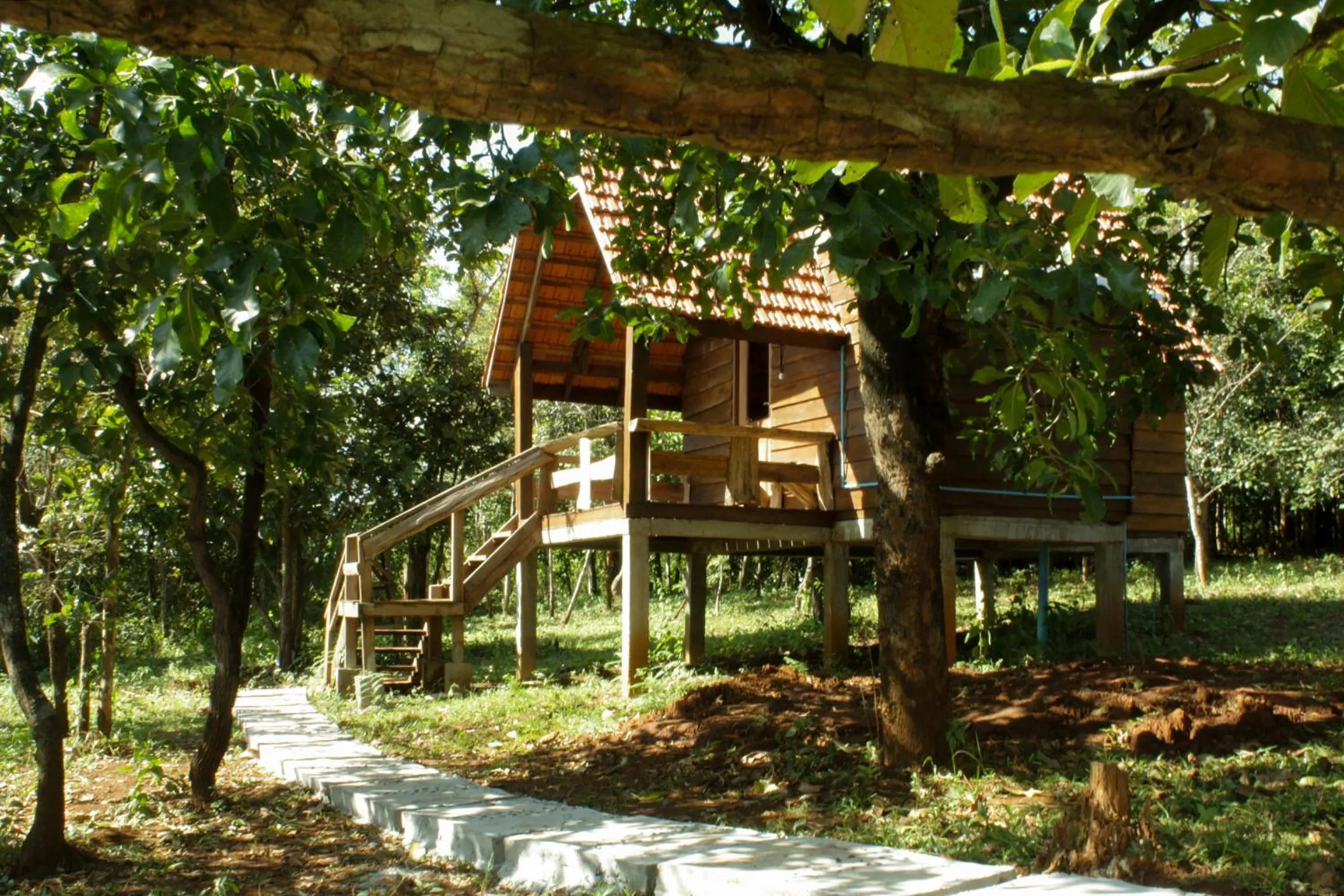 Photo of the whole room in Nature Lodge
