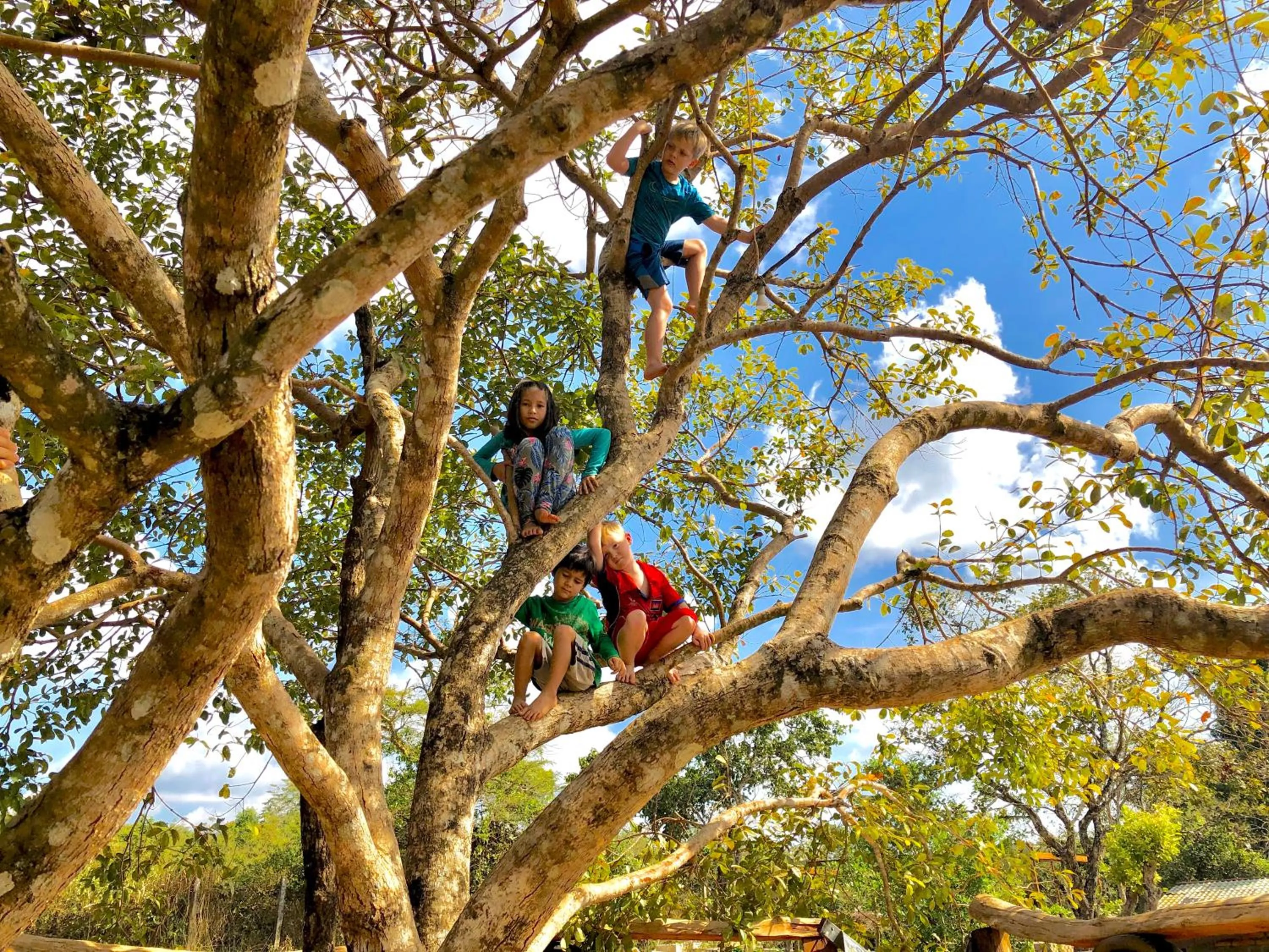 Kids's club in Nature Lodge