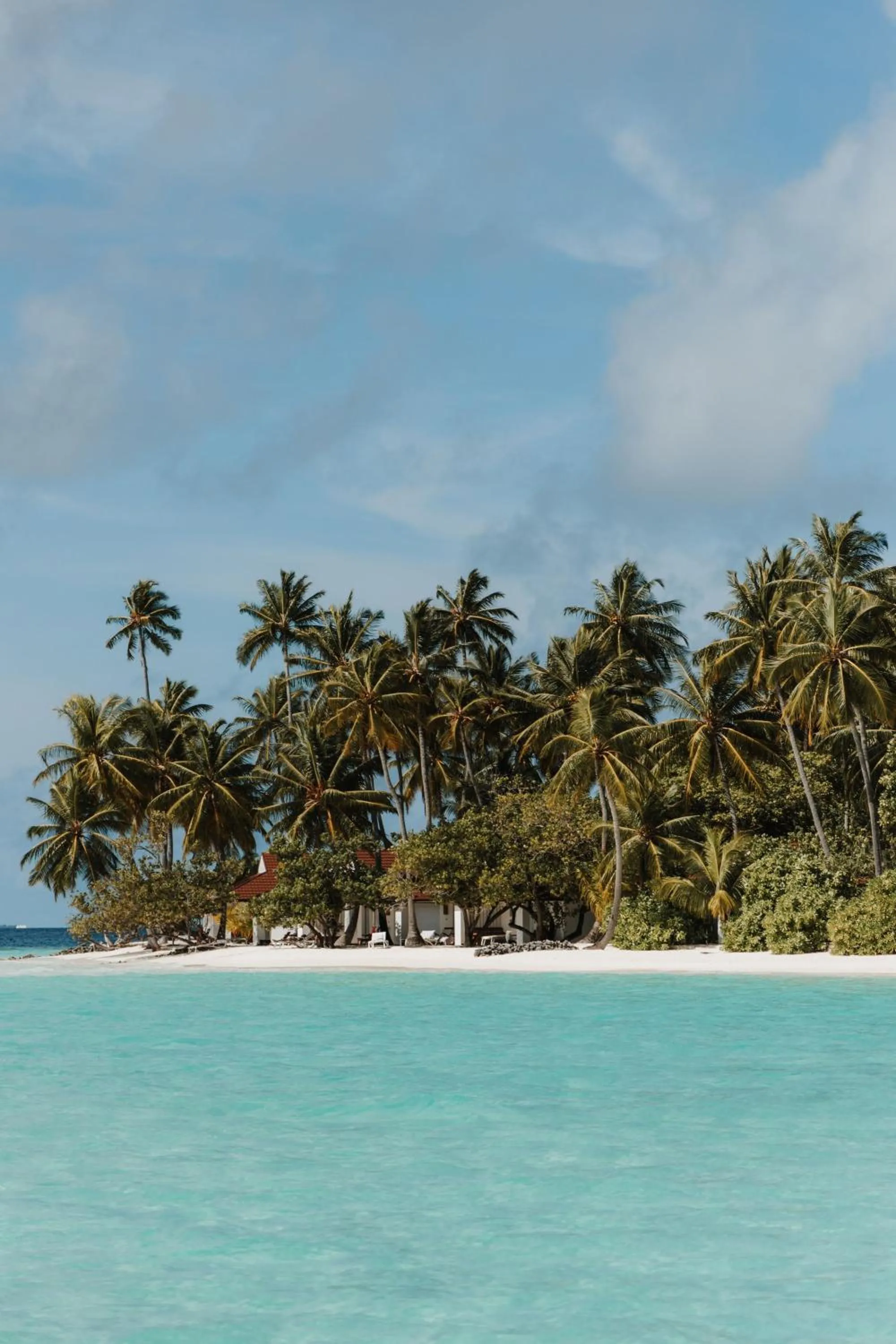 Beach in Diamonds Athuruga Maldives Resort & Spa