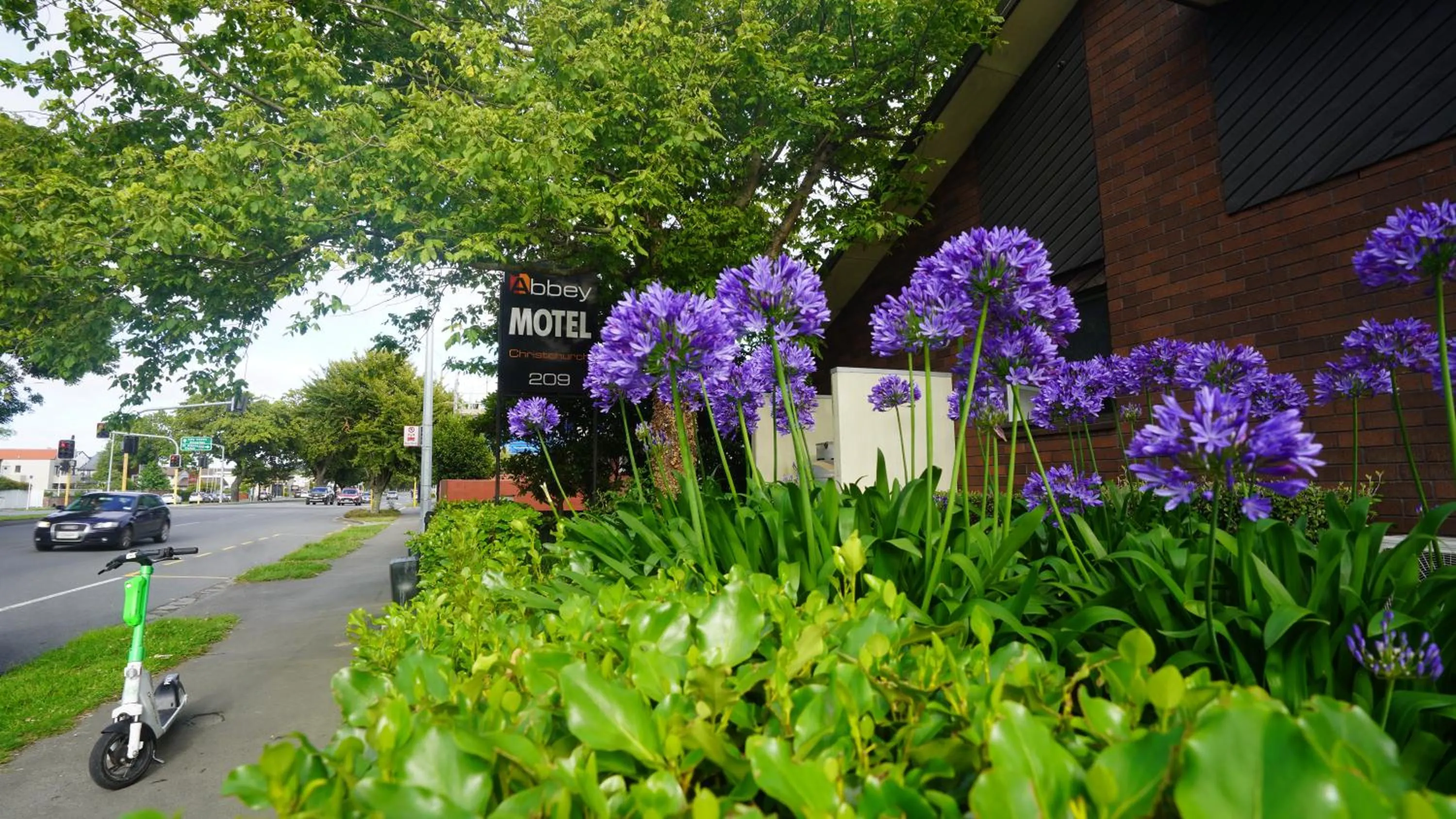 Garden view in Abbey Motor Lodge