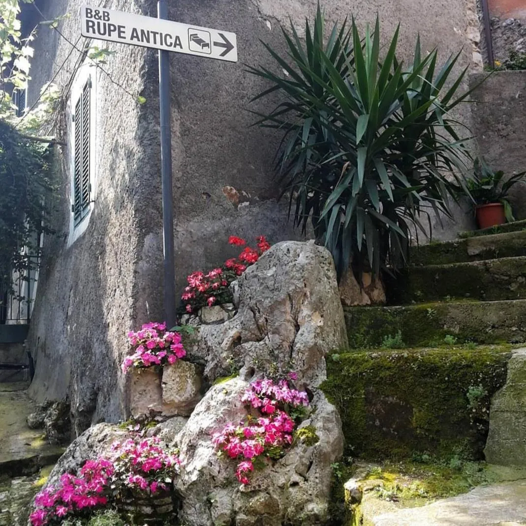 Rupe Antica