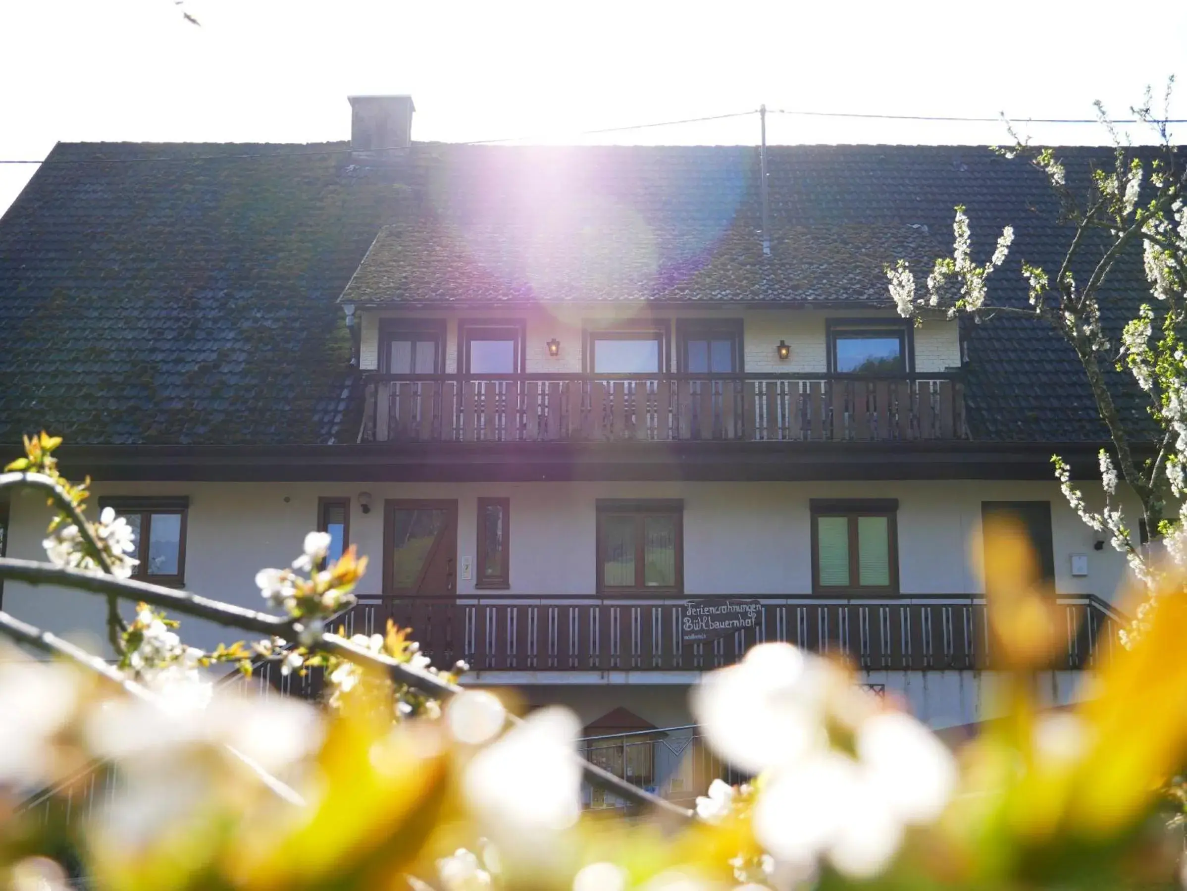 Bühlbauernhof Bühlbauernhof