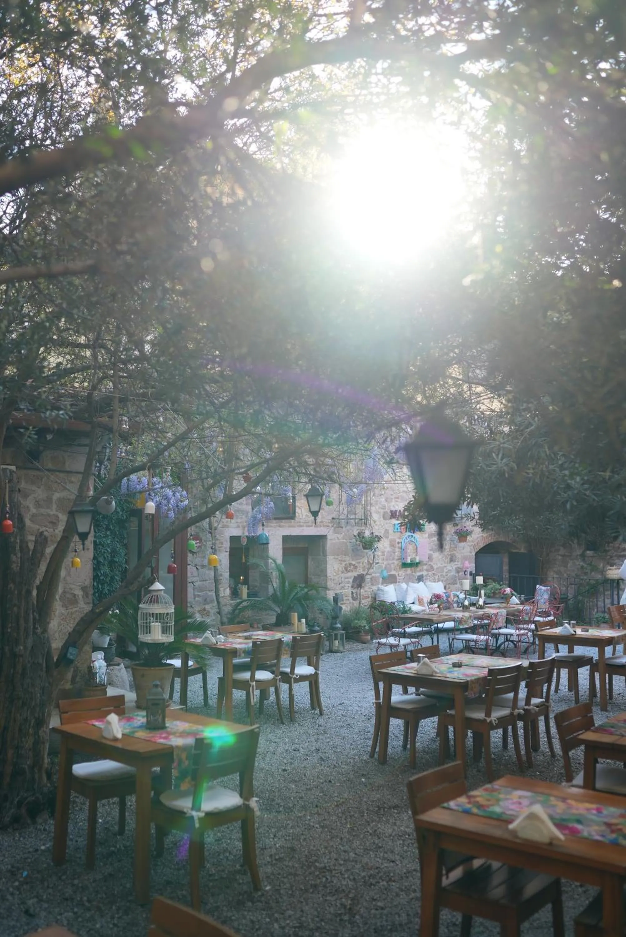 Garden in Macaron Konagi