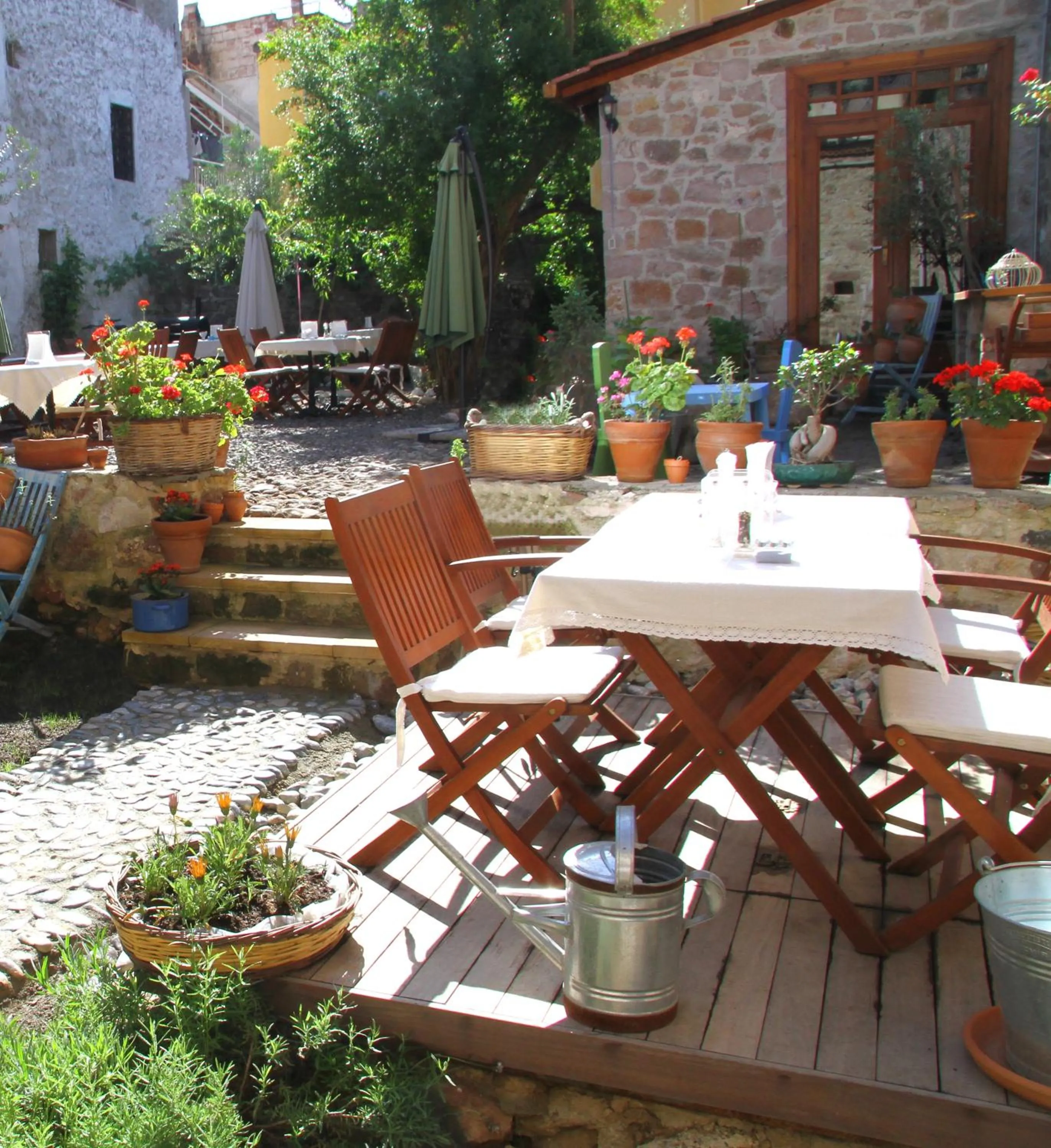 Garden in Macaron Konagi