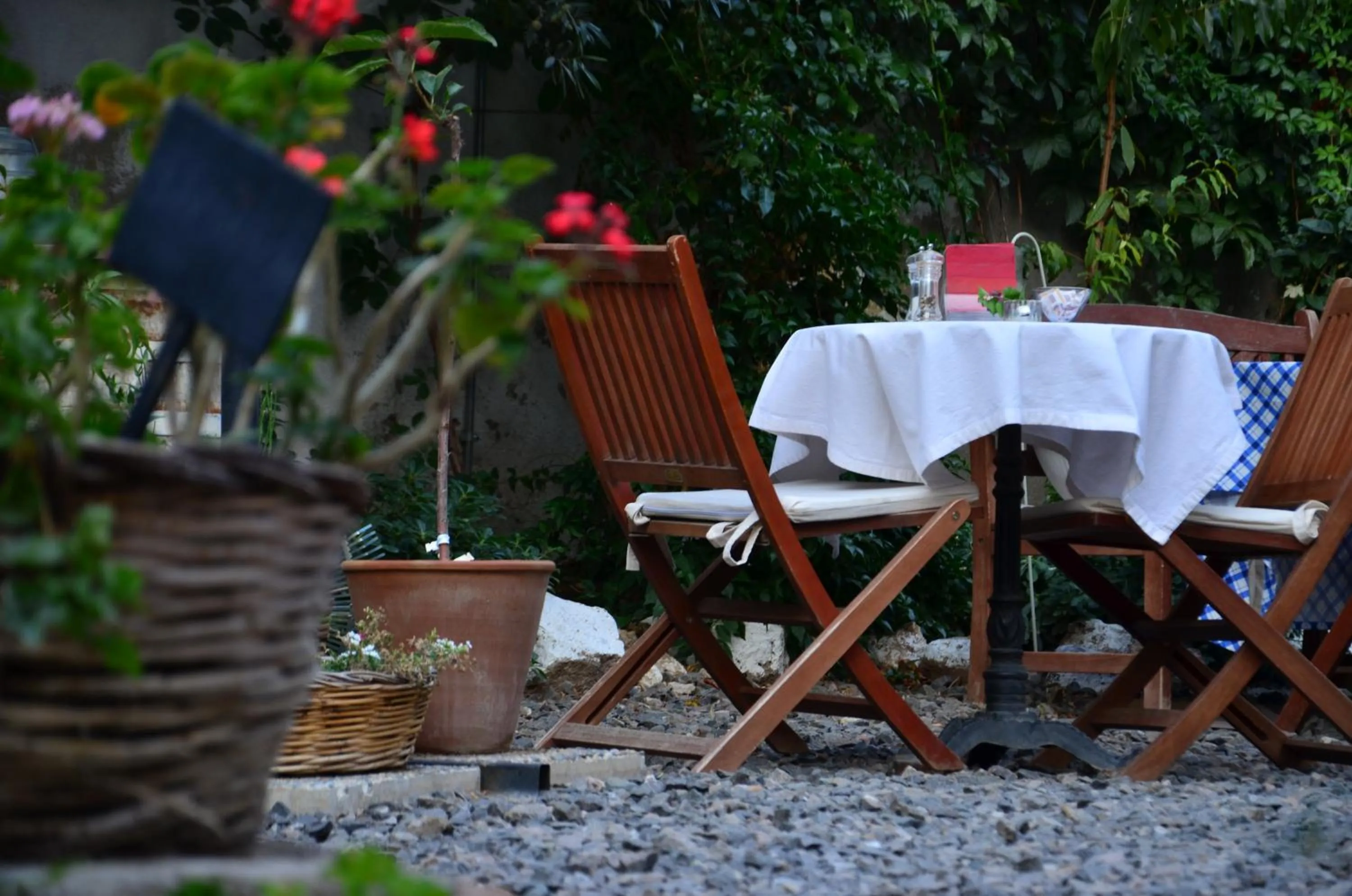 Garden in Macaron Konagi