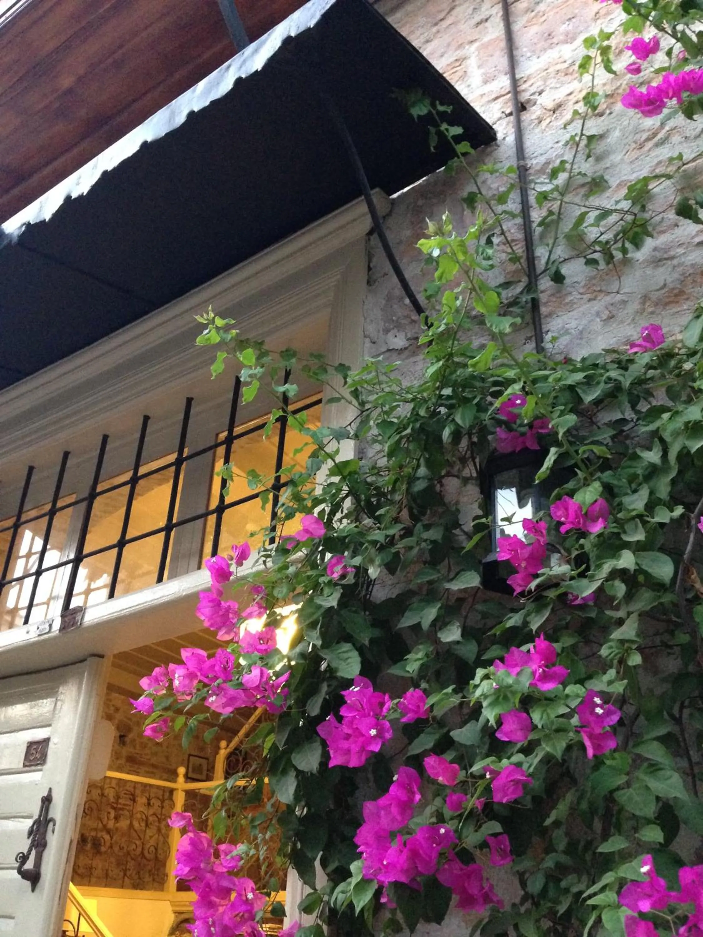 Facade/entrance in Macaron Konagi