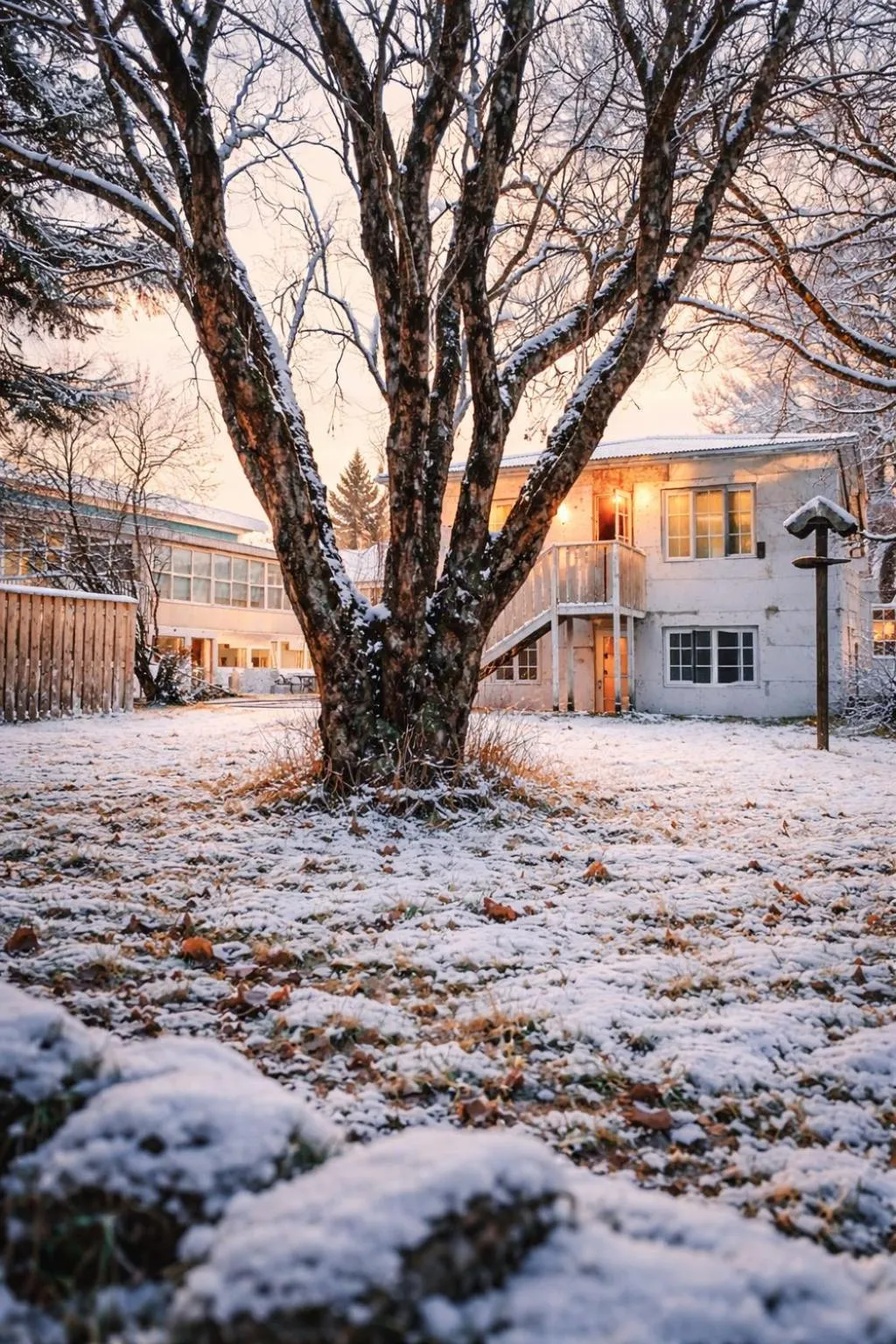 Garden in Selfoss Hostel
