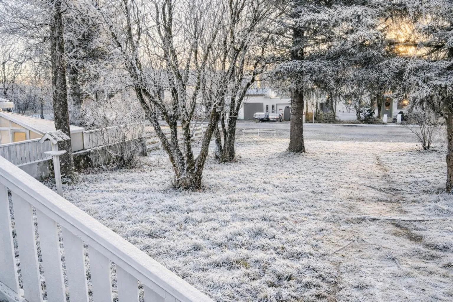 Garden view in Selfoss Hostel