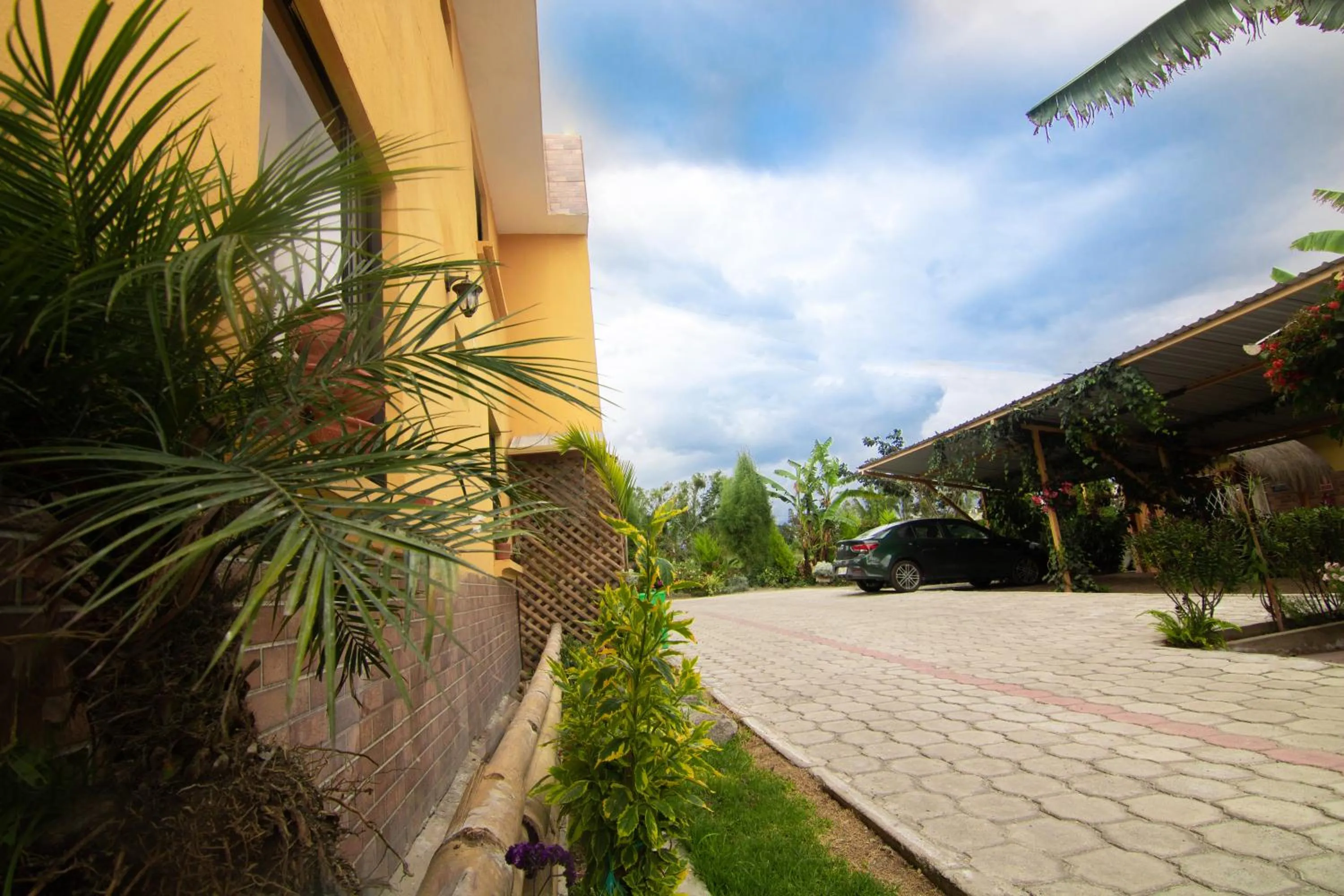 Garden view in Hostal Alpachaca - New Quito Airport
