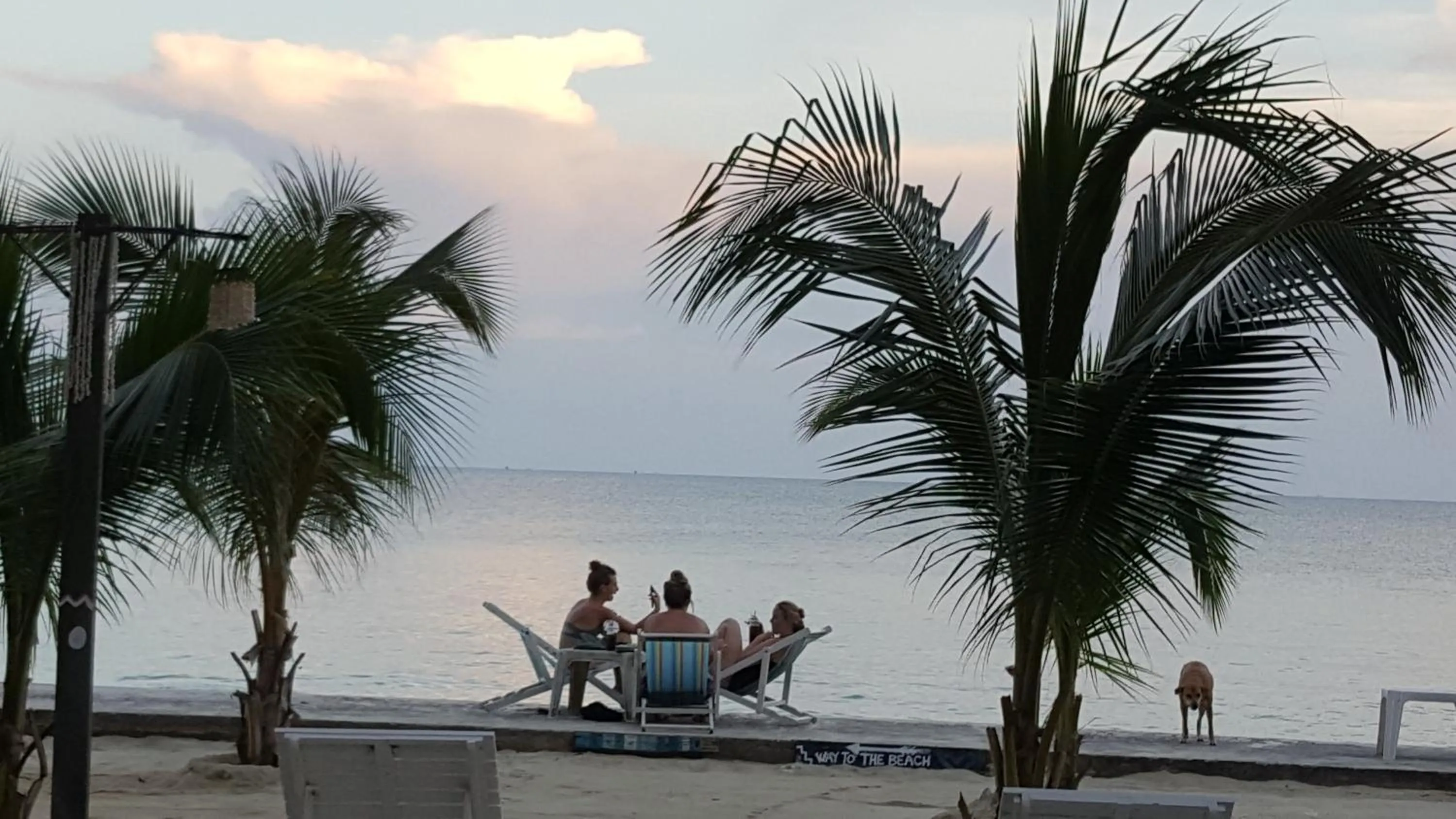 Viking Holiday Resort