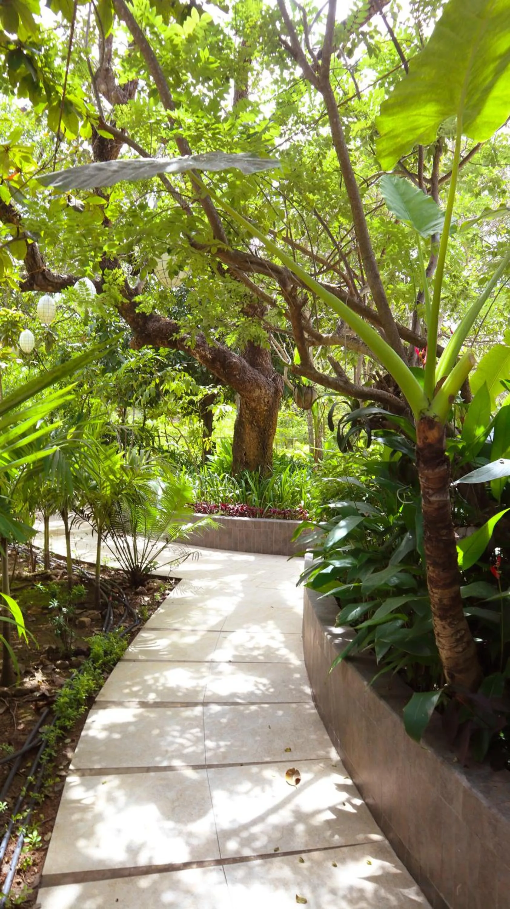 Day in Fernvale Leisure Club and Resort