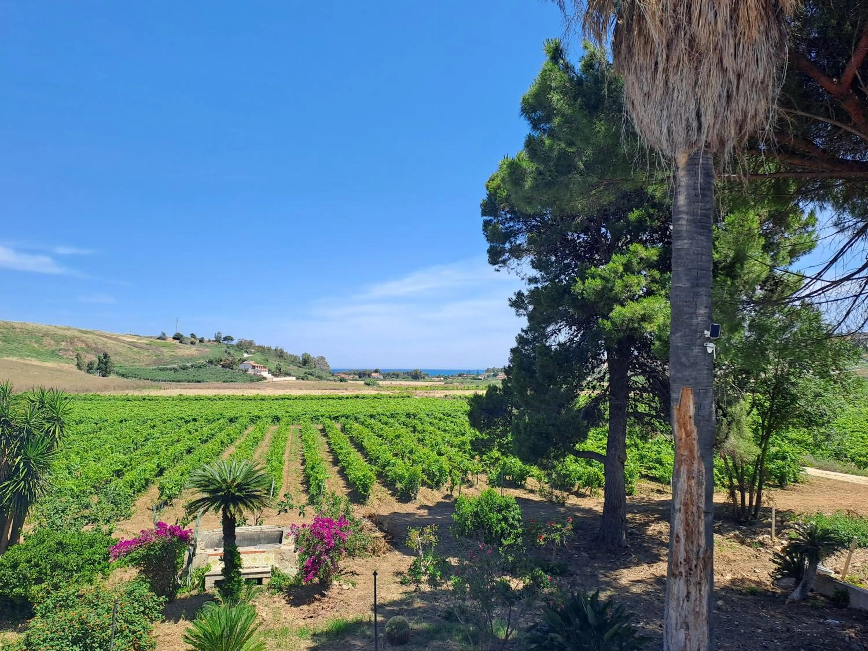 Nearby landmark in Fattoria Manostalla Villa Chiarelli