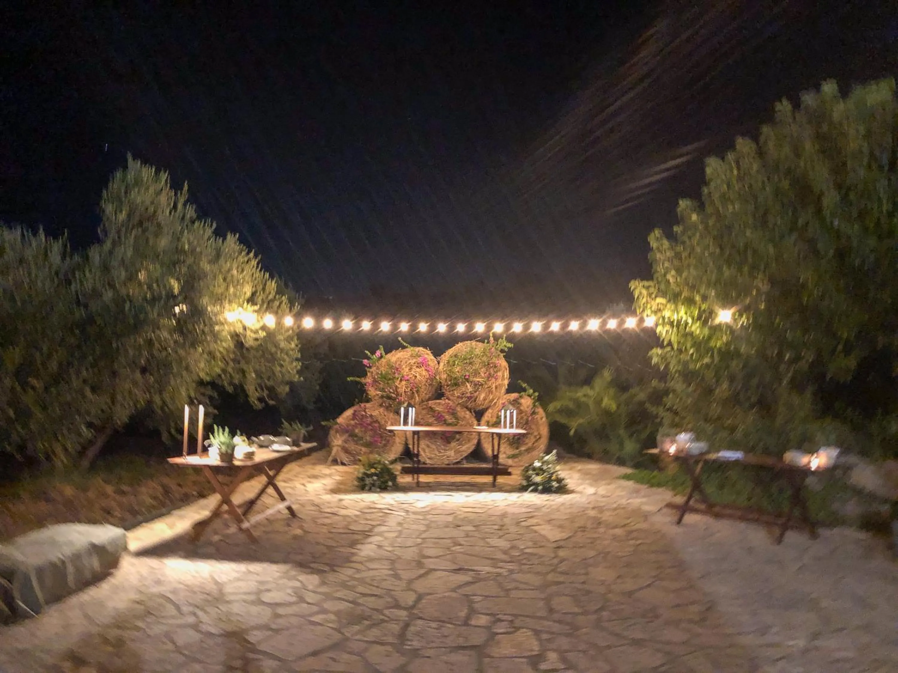 Garden in Fattoria Manostalla Villa Chiarelli