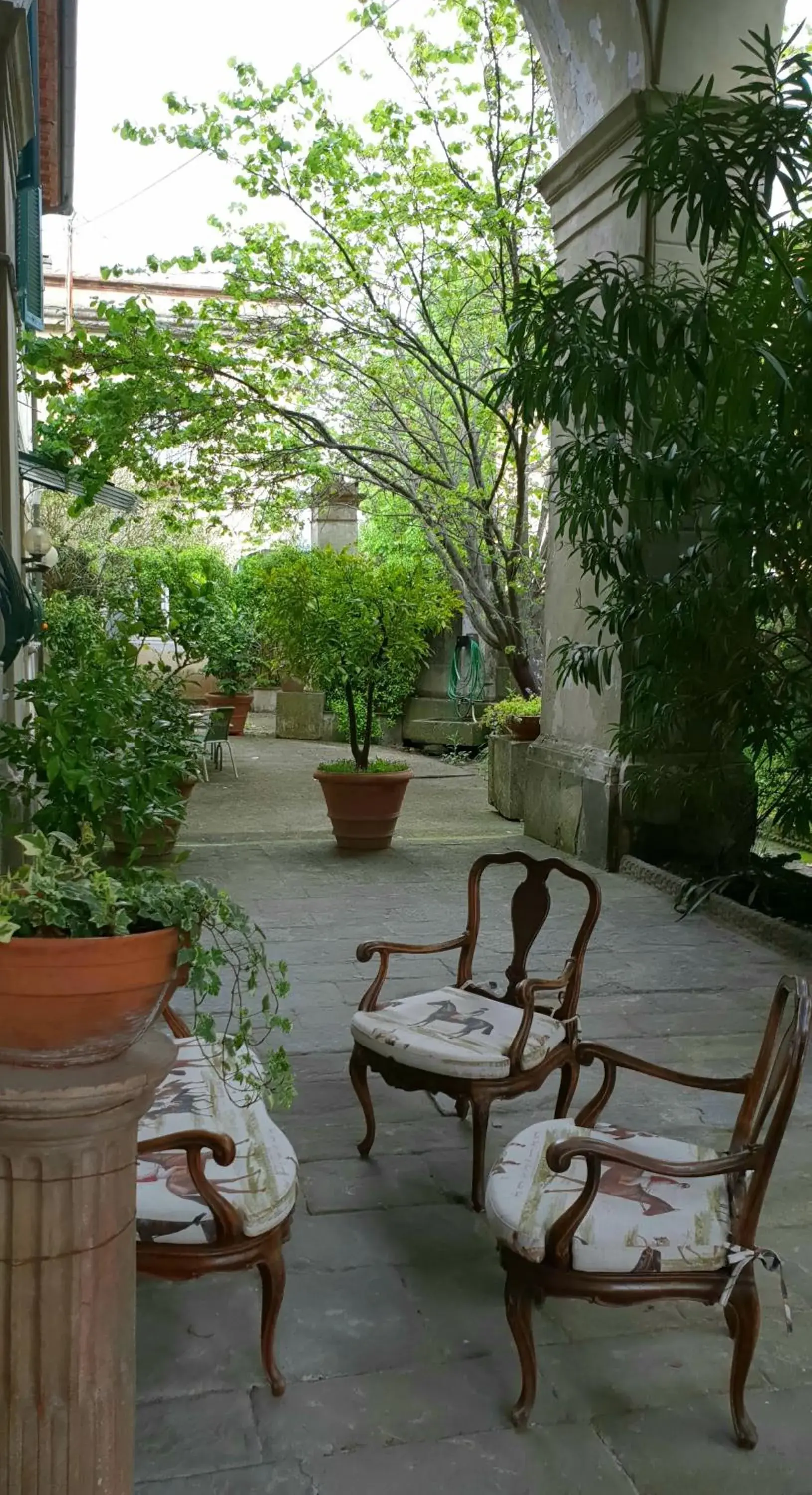 Villa La Dogana B&B di Charme - Historic Villa with a beautiful garden - private parking Villa La Dogana B&B di Charme - Historic Villa with a beautiful garden - private parking