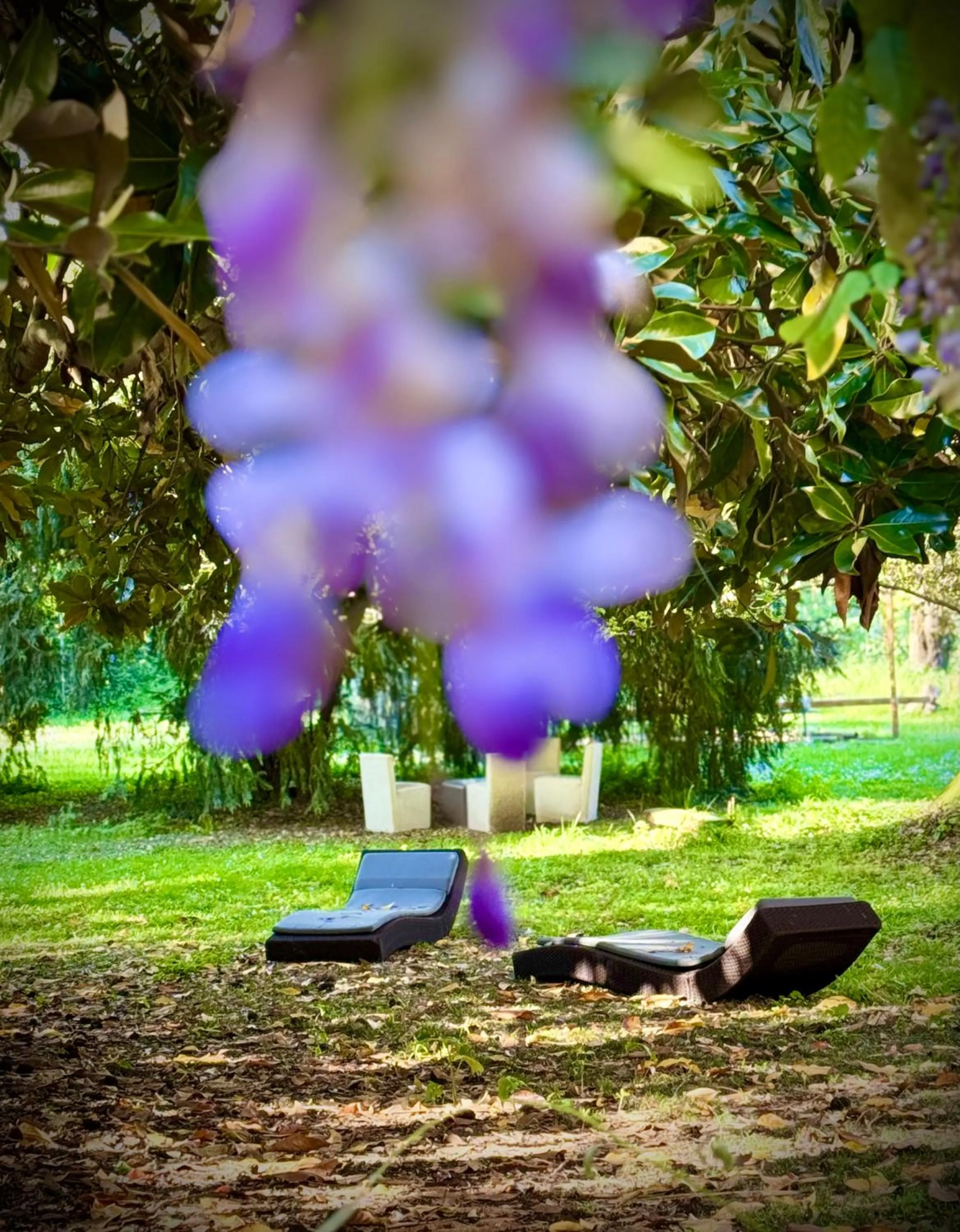 Villa La Dogana B&B di Charme - Historic Villa with a beautiful garden - private parking