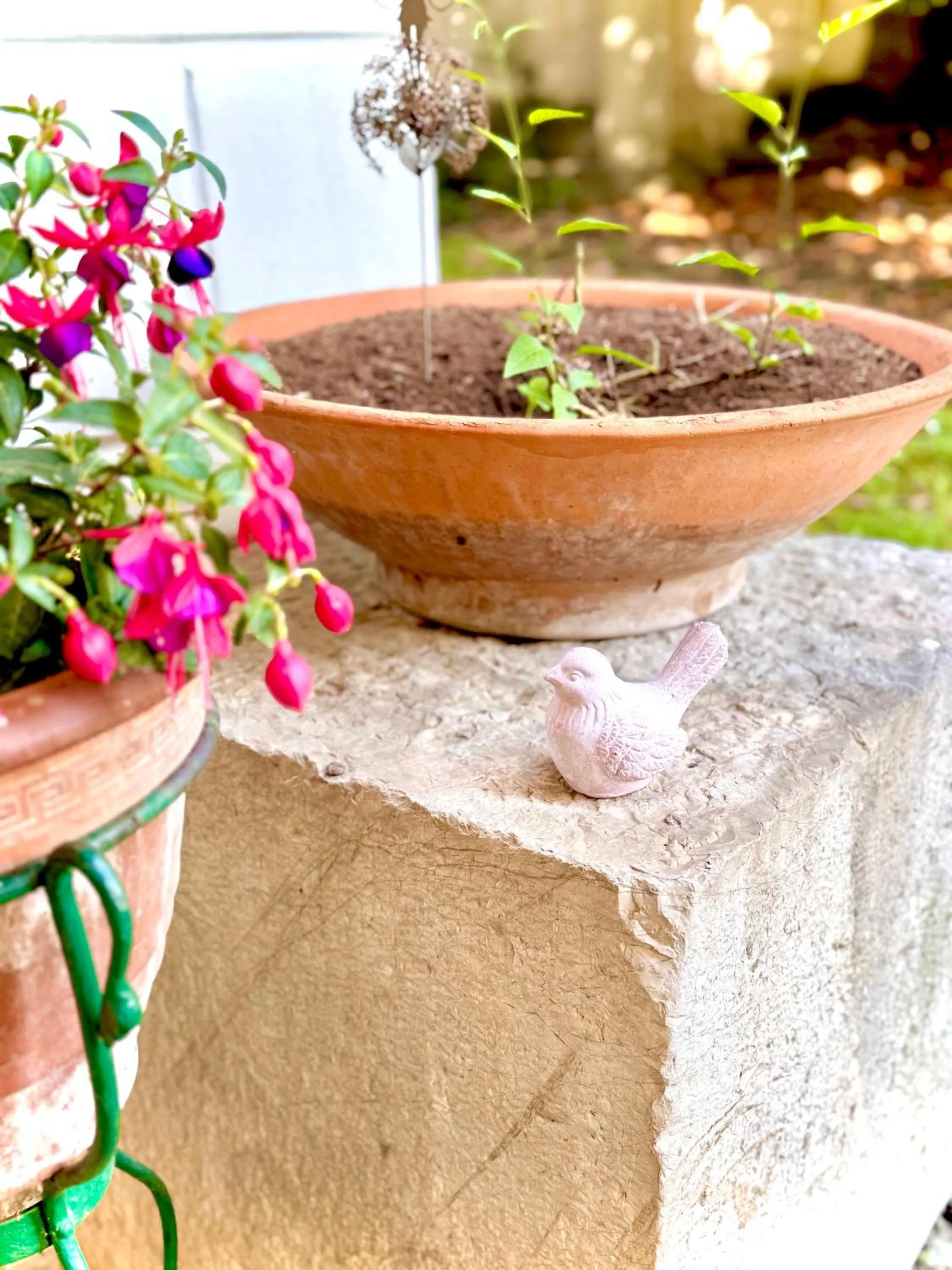 Villa La Dogana B&B di Charme - Historic Villa with a beautiful garden - private parking