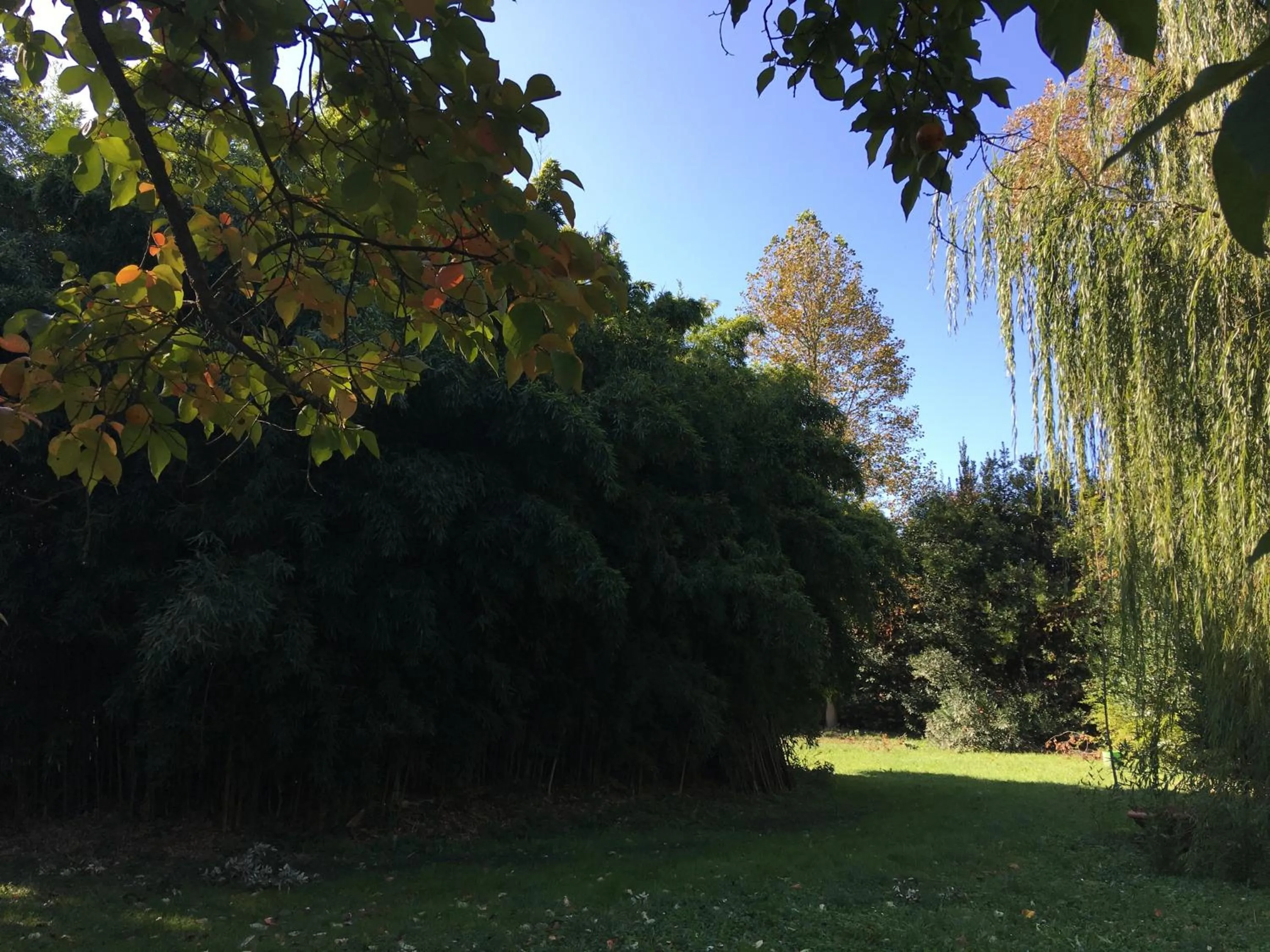 Garden in Villa La Dogana B&B di Charme - Historic Villa with a beautiful garden - private parking