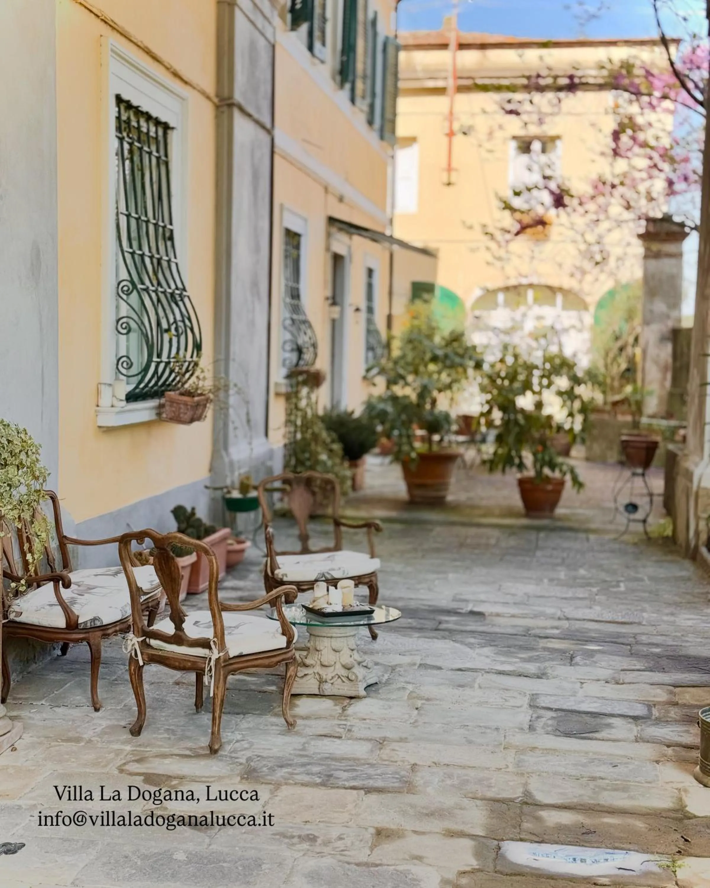 Villa La Dogana B&B di Charme - Historic Villa with a beautiful garden - private parking