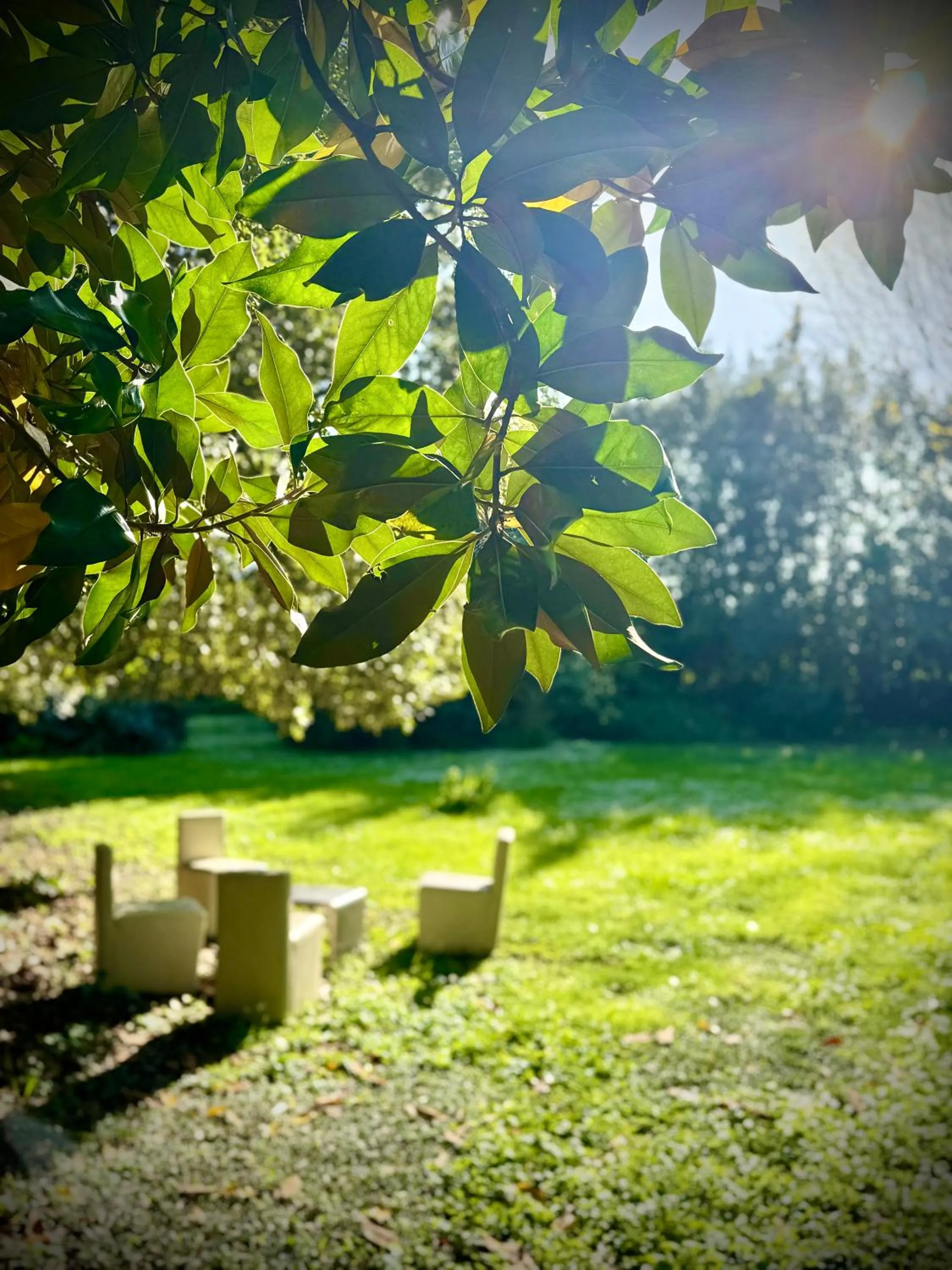 Villa La Dogana B&B di Charme - Historic Villa with a beautiful garden - private parking