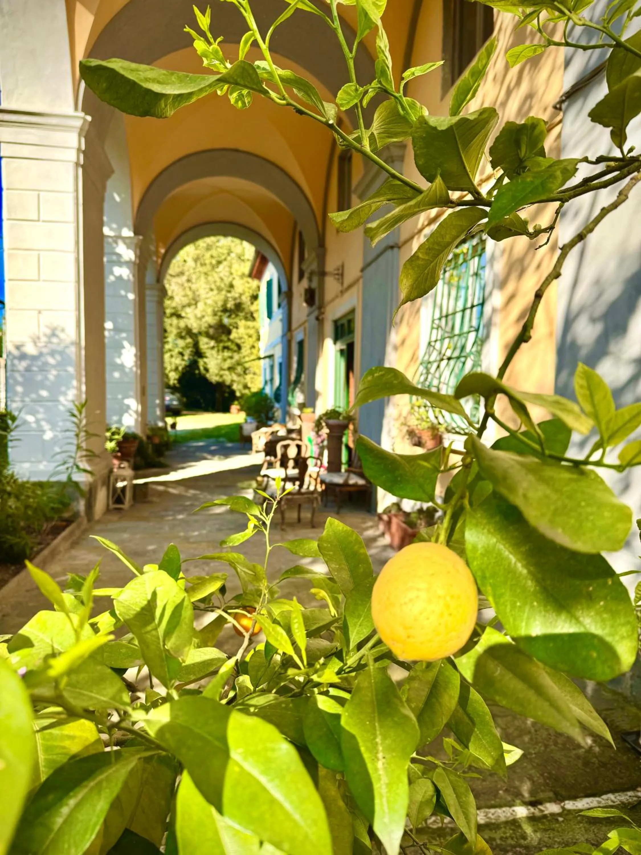 Villa La Dogana B&B di Charme - Historic Villa with a beautiful garden - private parking