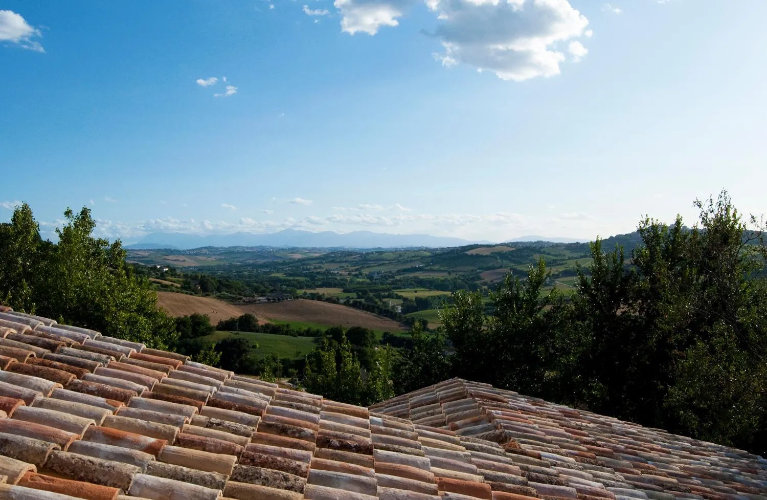 Bird's eye view in Agriturismo Il Falco