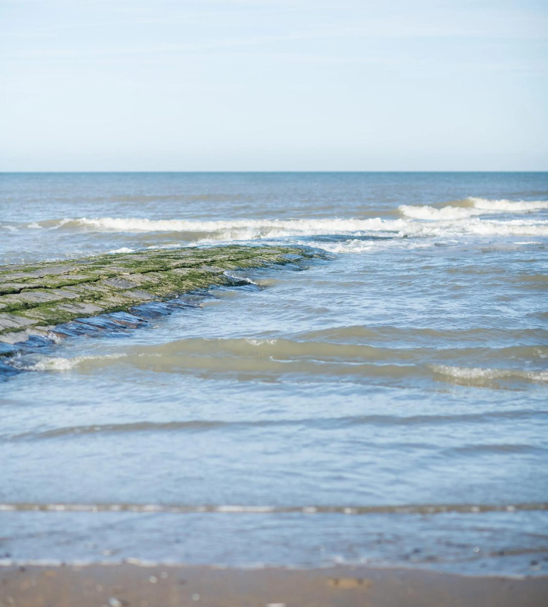 Natural landscape in Fields of Ellis